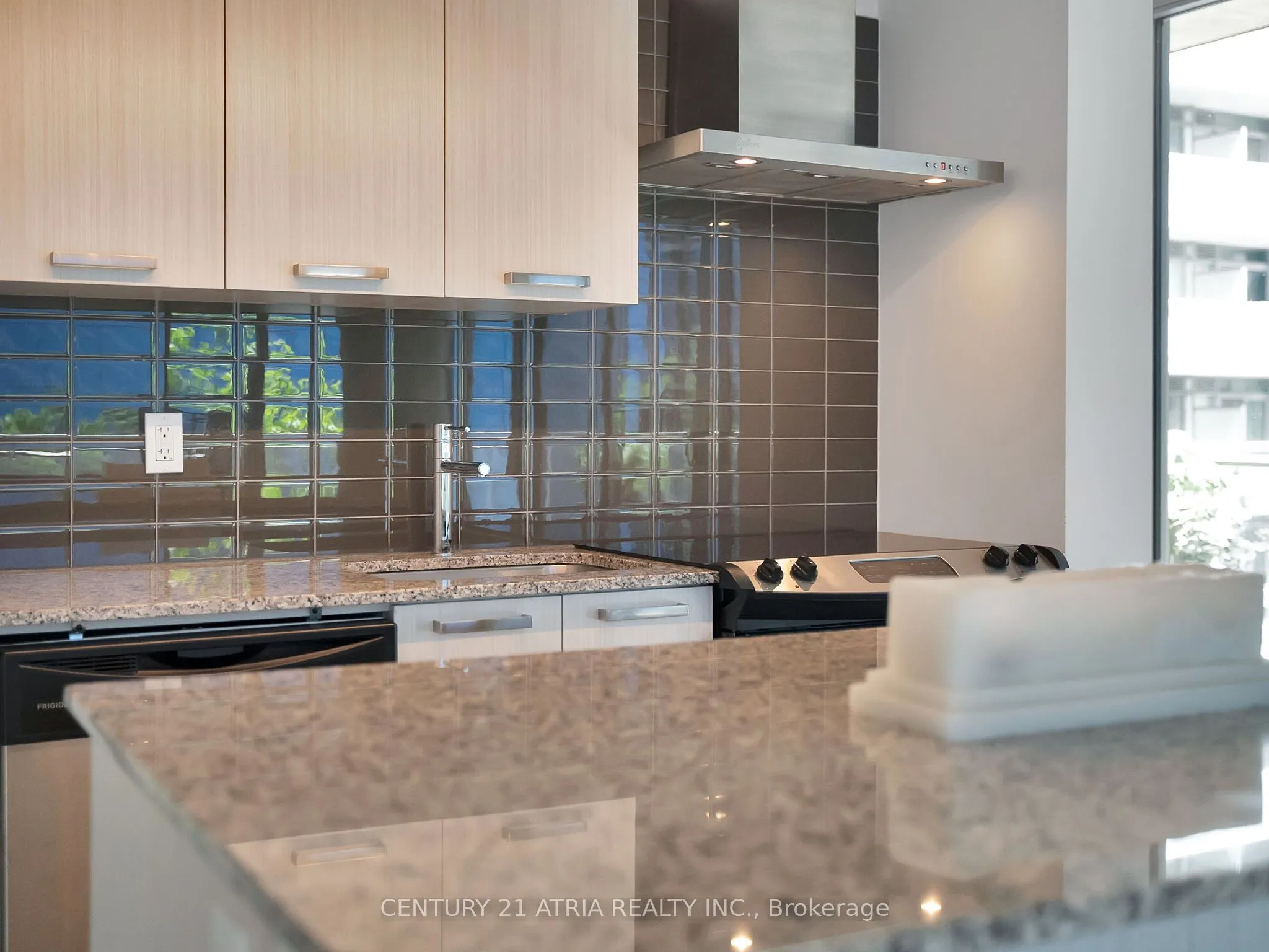 95 Bathurst Street #318