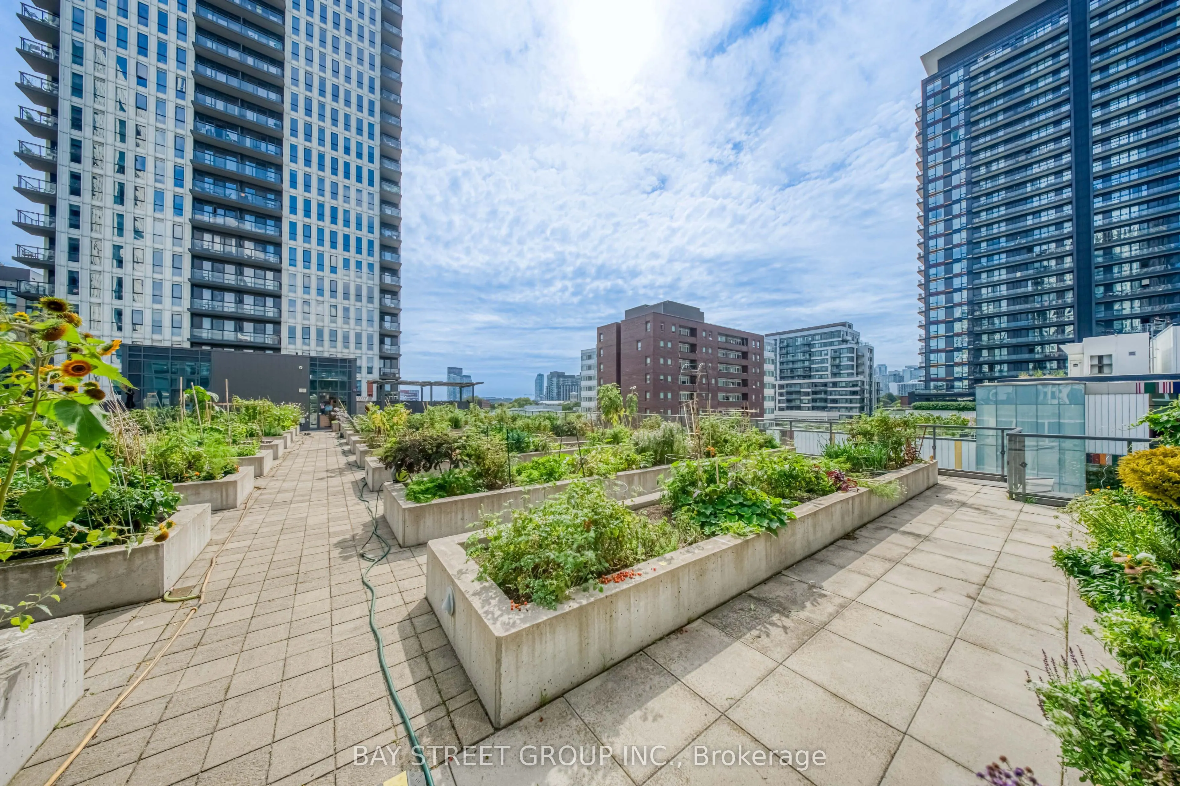 170 Sumach Street #502