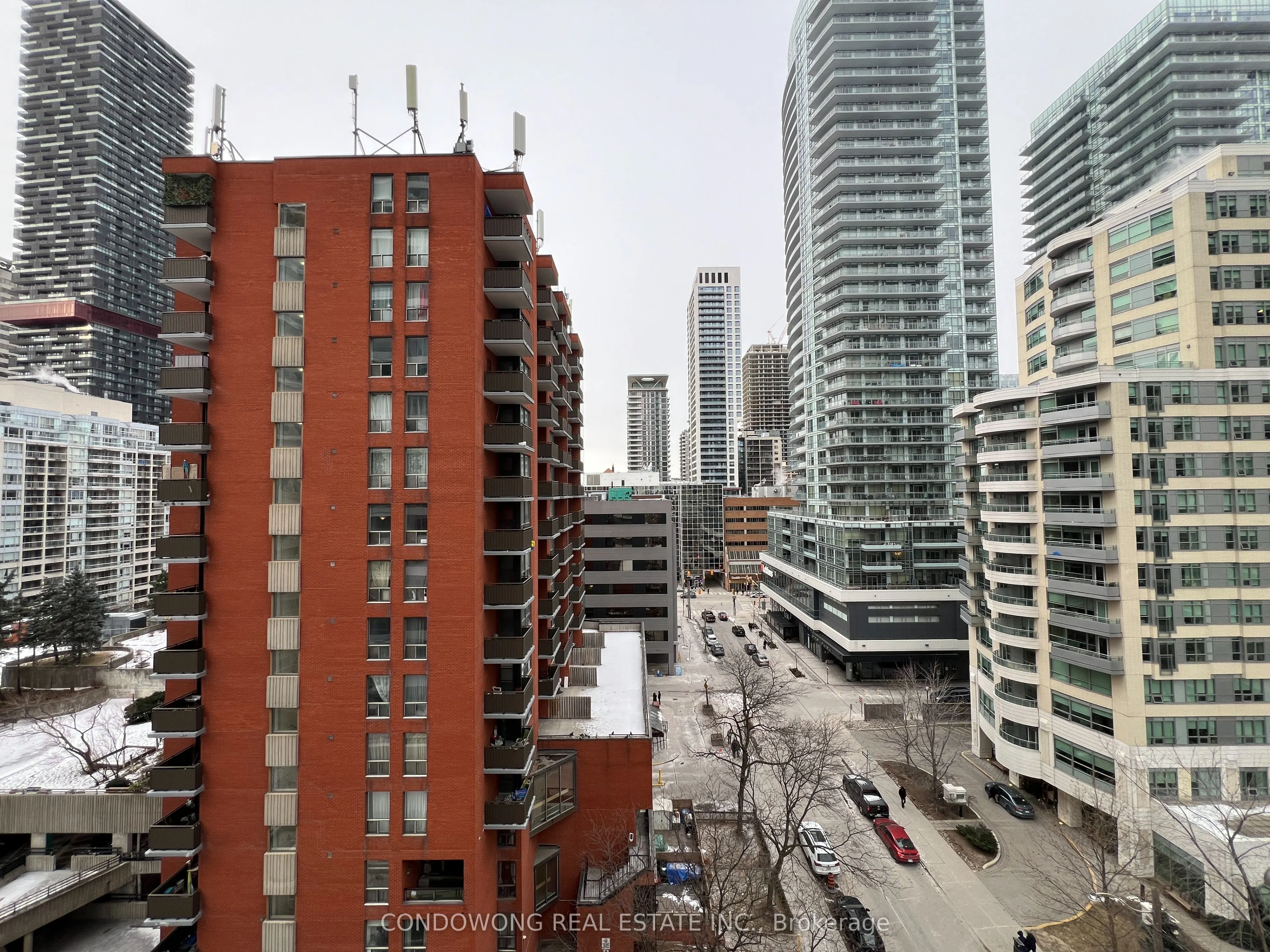 50 Dunfield Avenue #1019