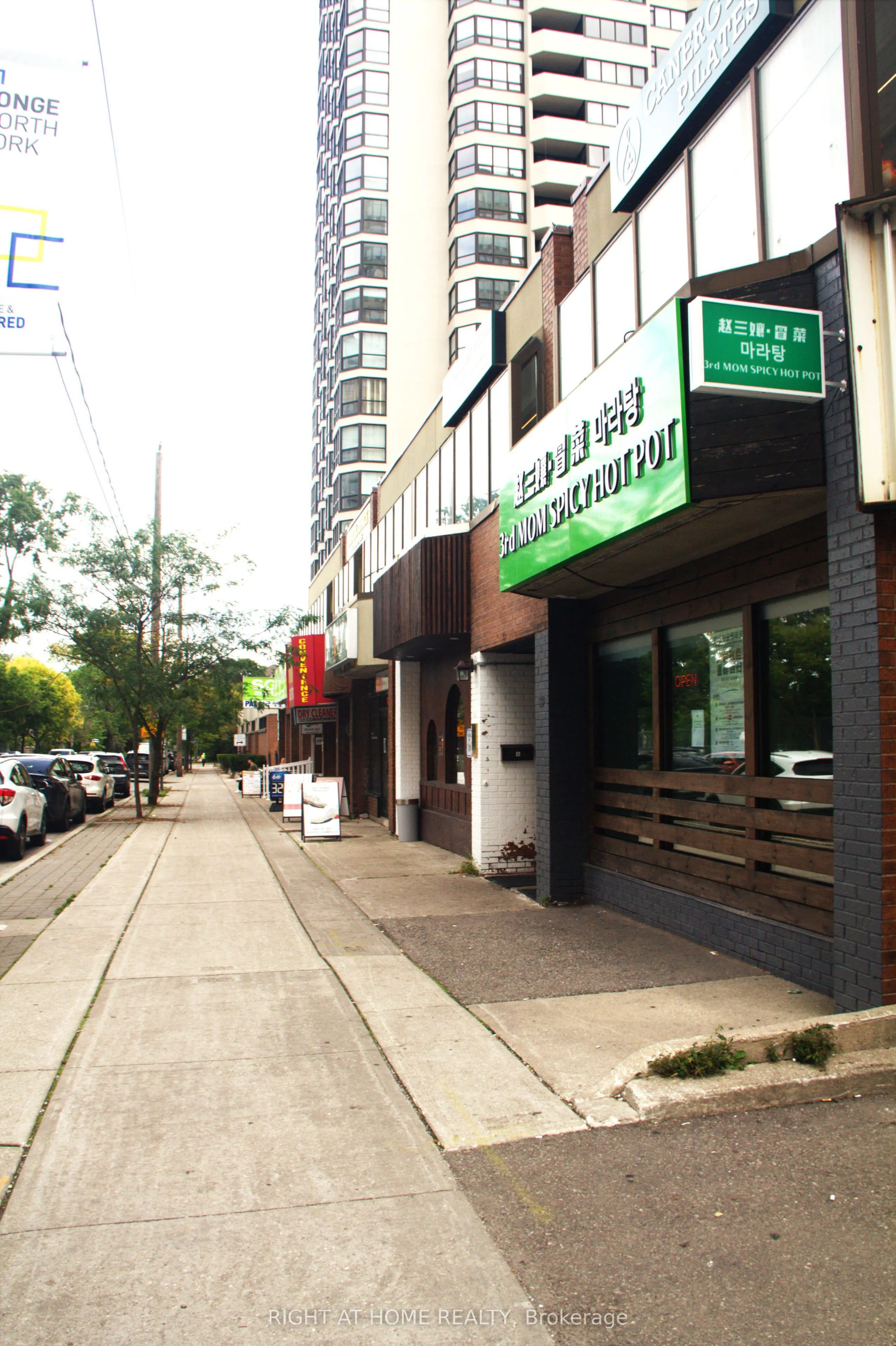 18 Spring Garden Avenue #3207
