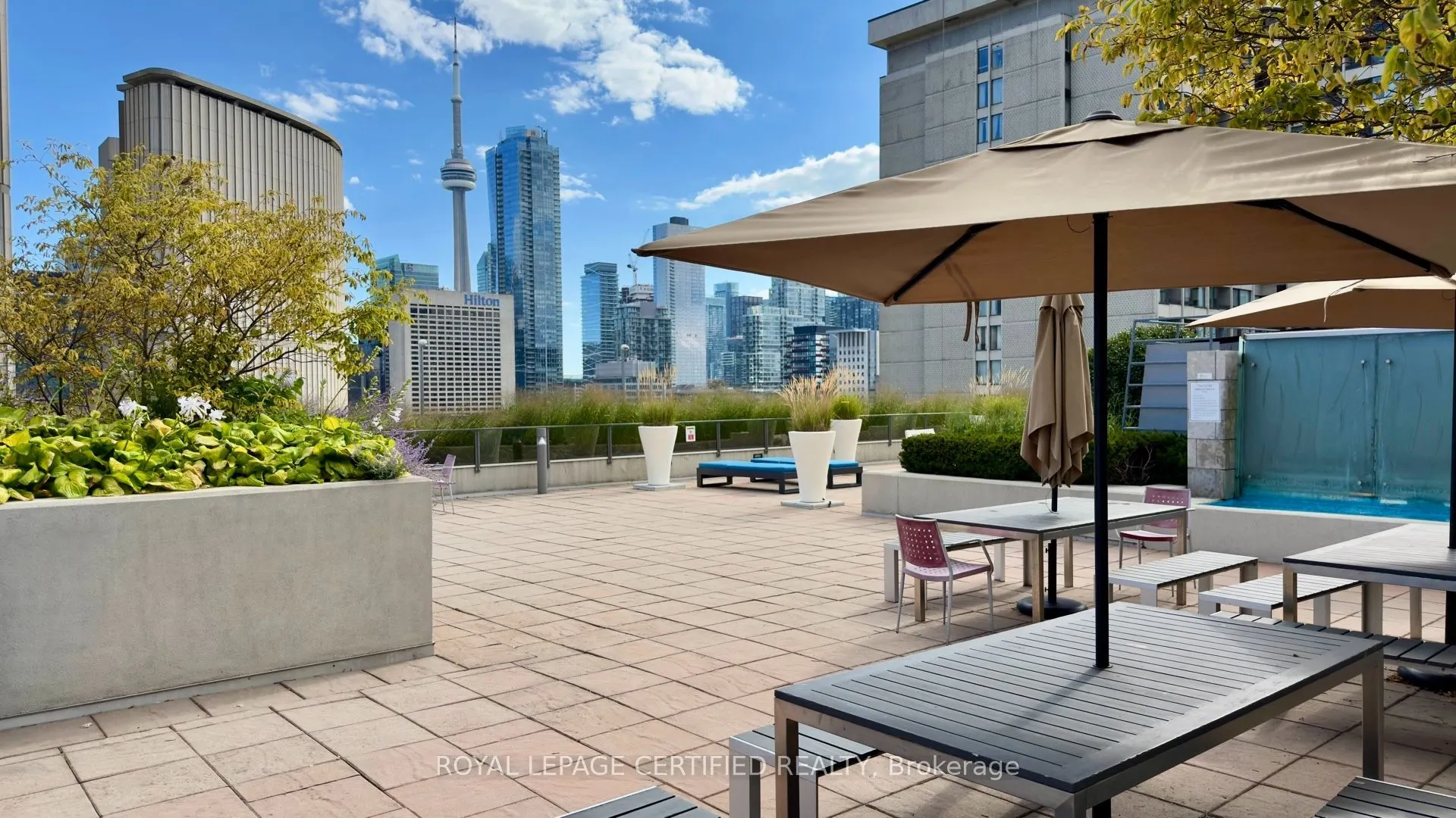 111 Elizabeth Street #552