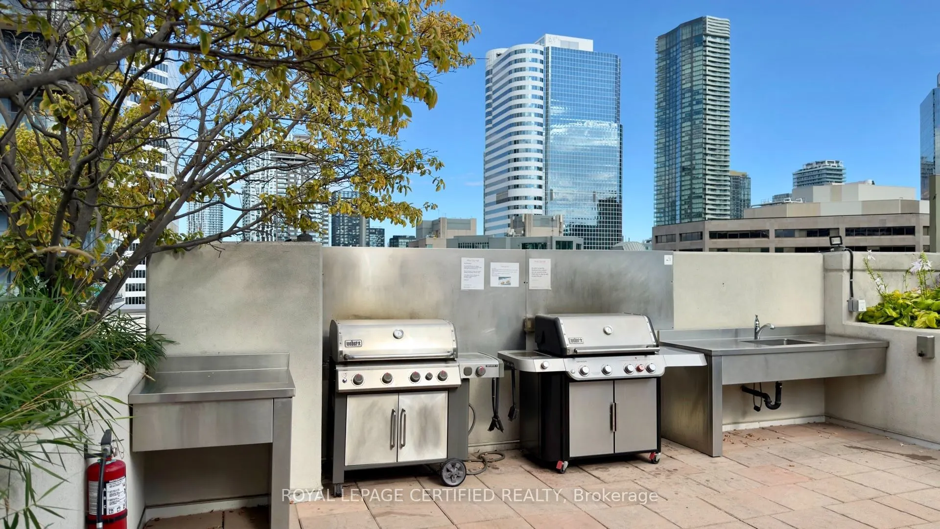 111 Elizabeth Street #552