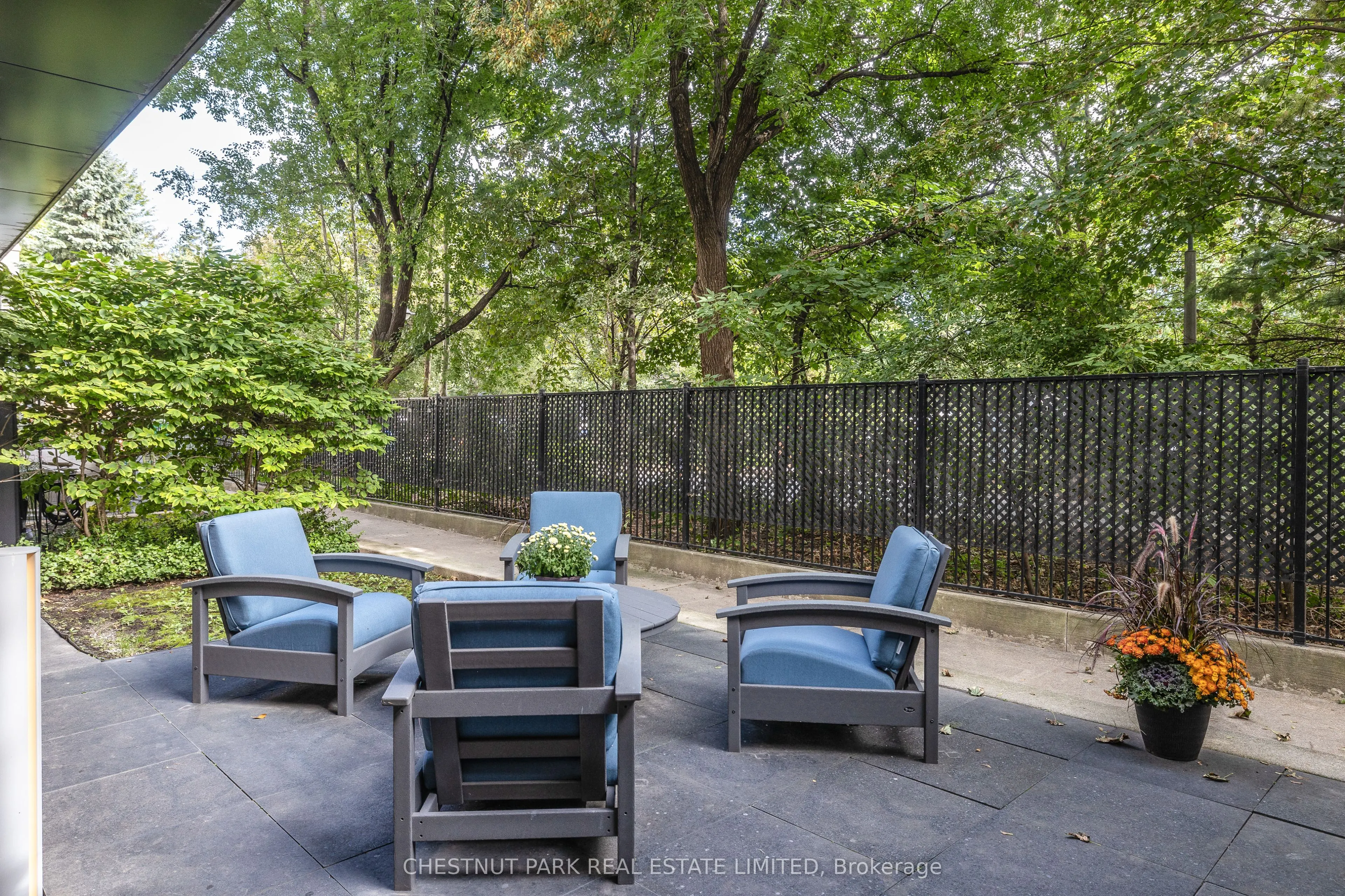 1815 Yonge Street #205