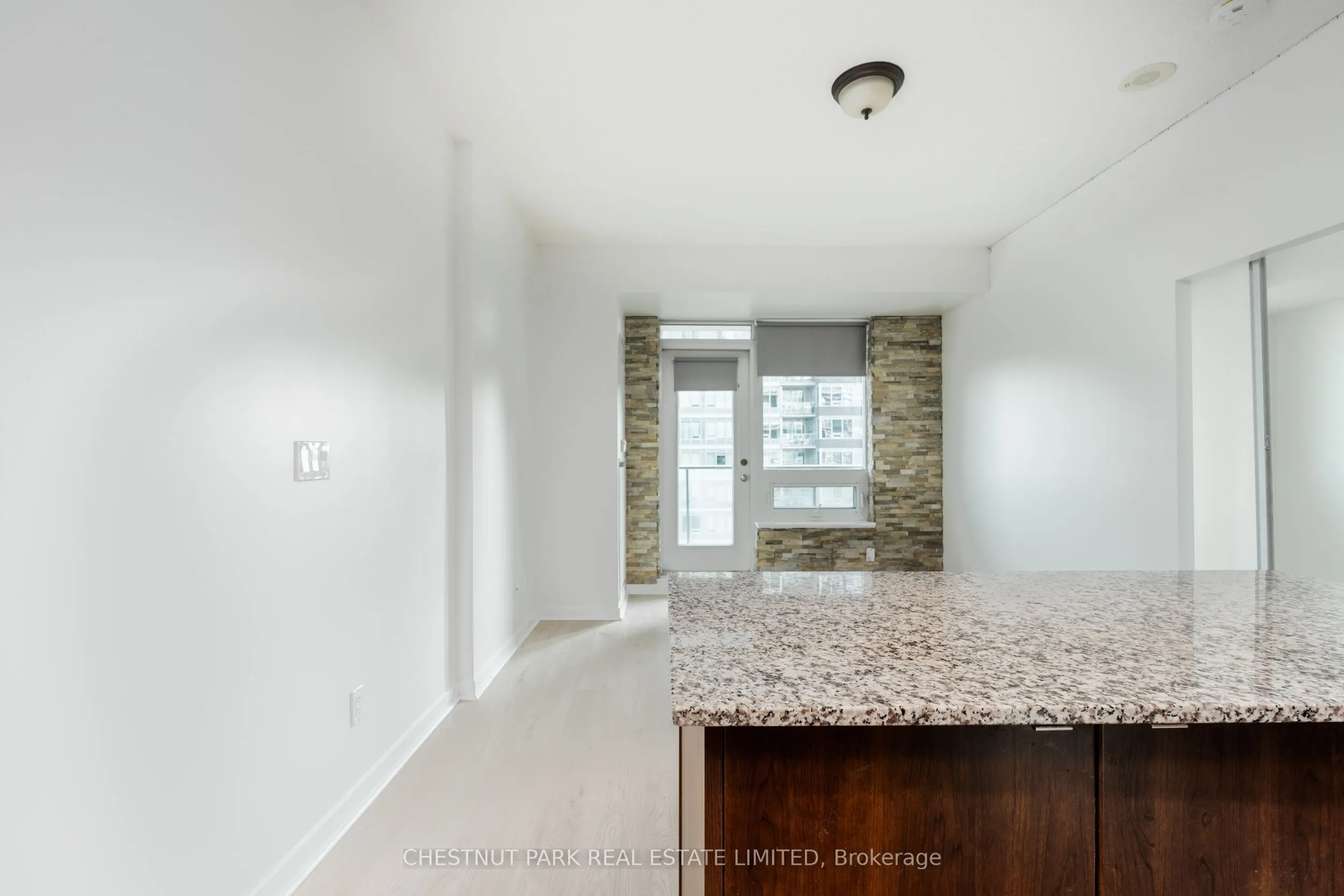 55 East Liberty Street #1212