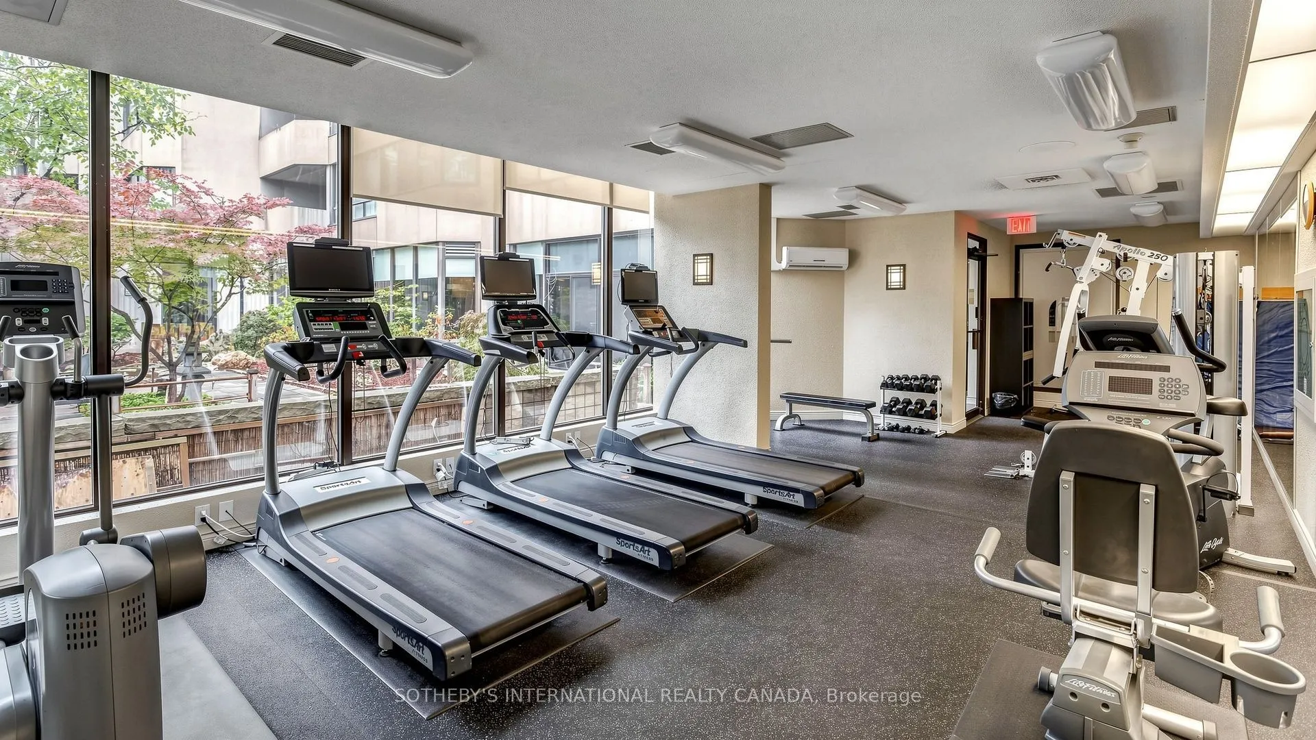 65 Spring Garden Avenue #1803