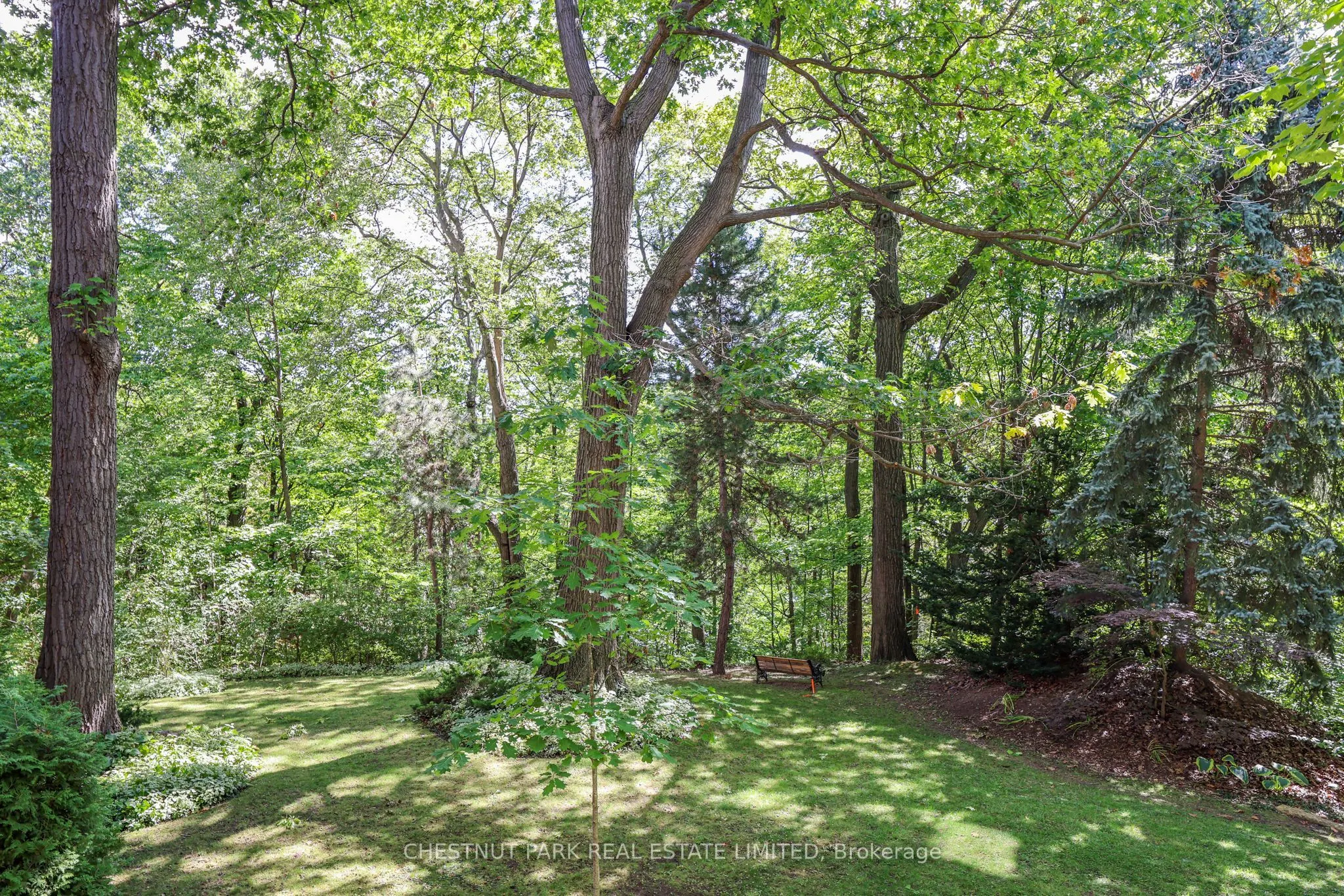 21 Dale Avenue #612