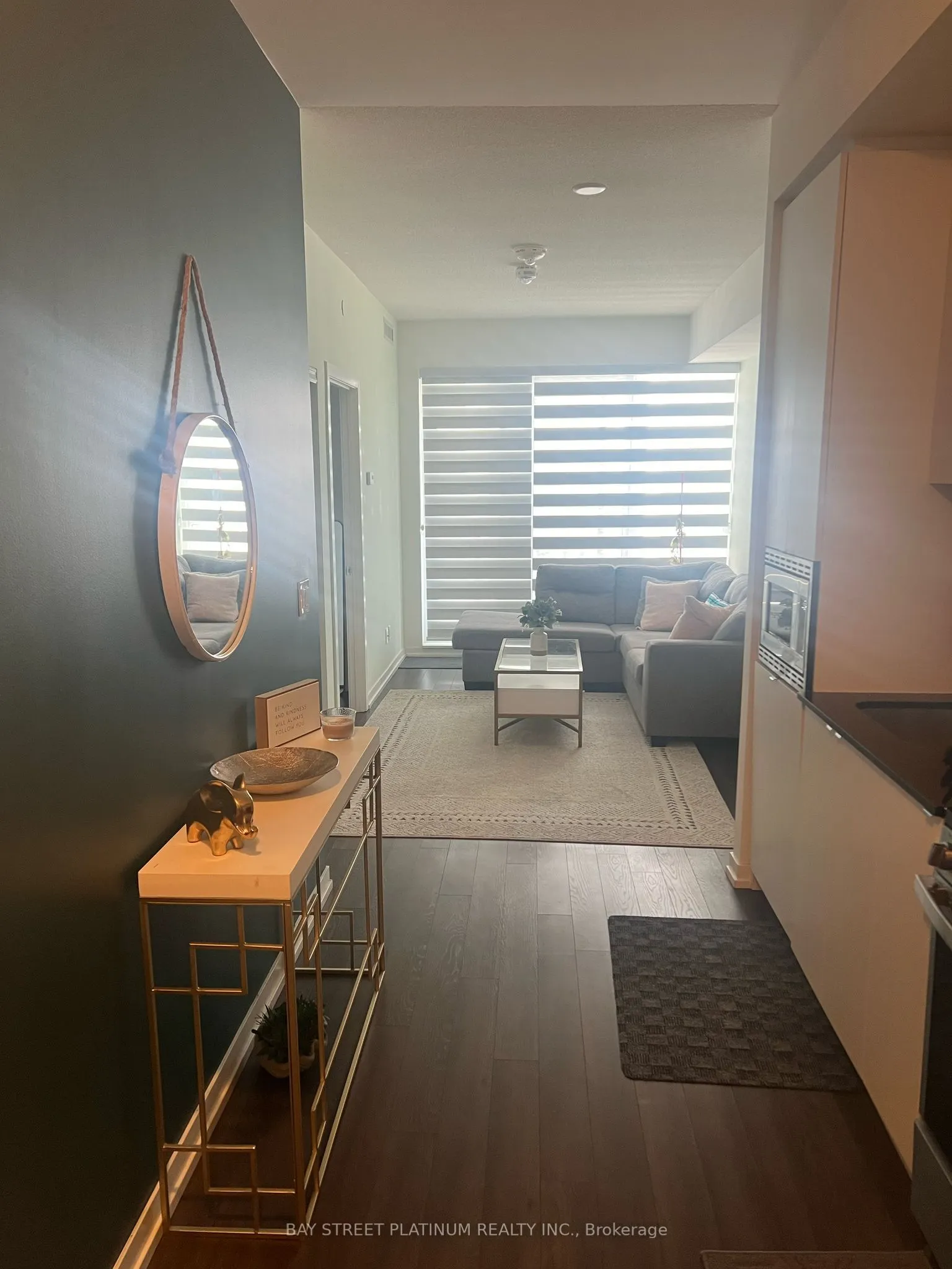 49 East Liberty Street #1101