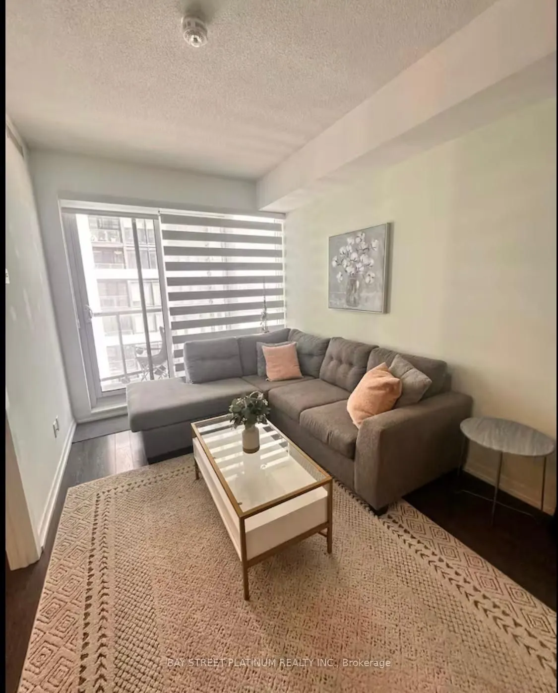 49 East Liberty Street #1101
