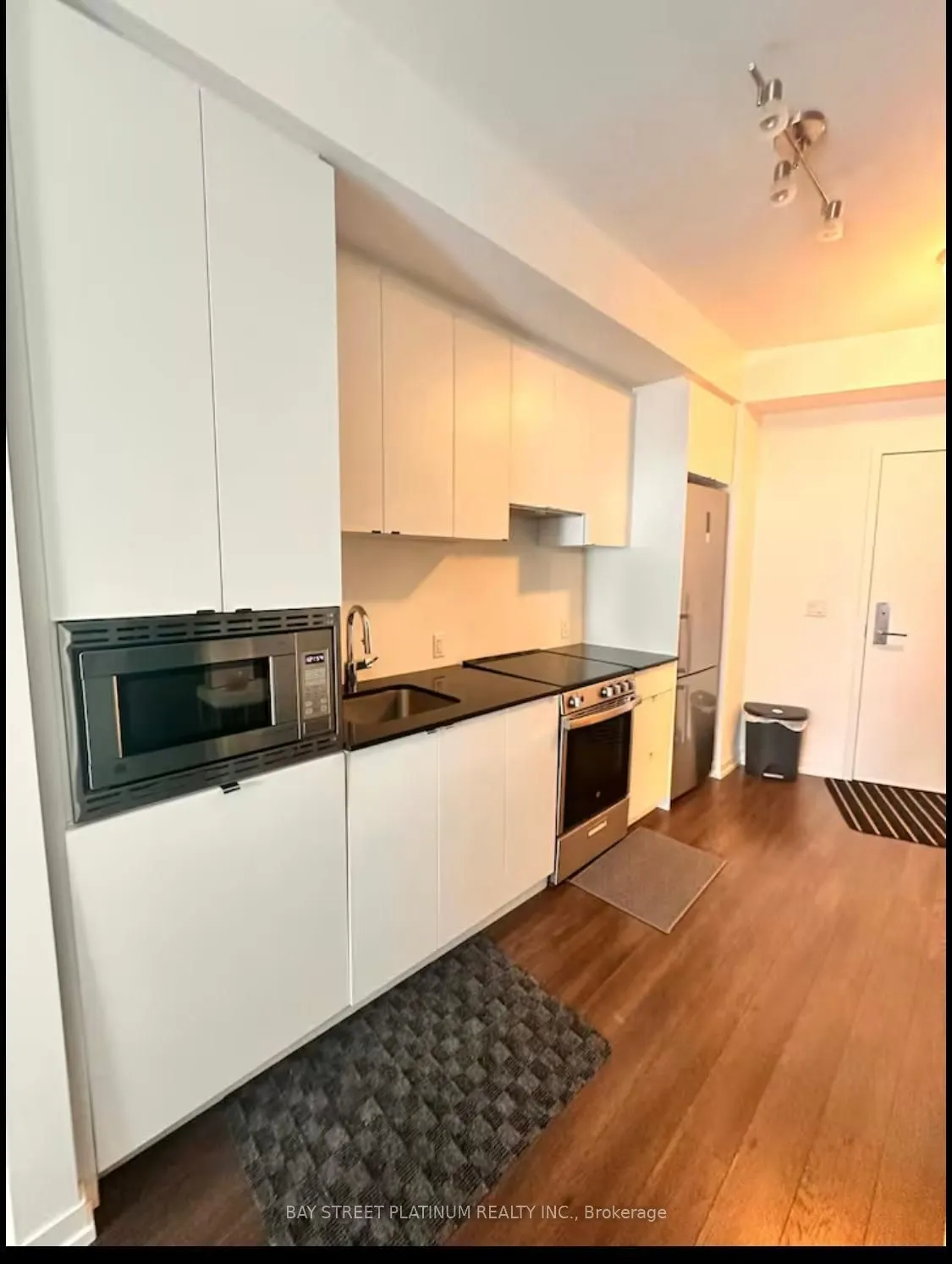 49 East Liberty Street #1101