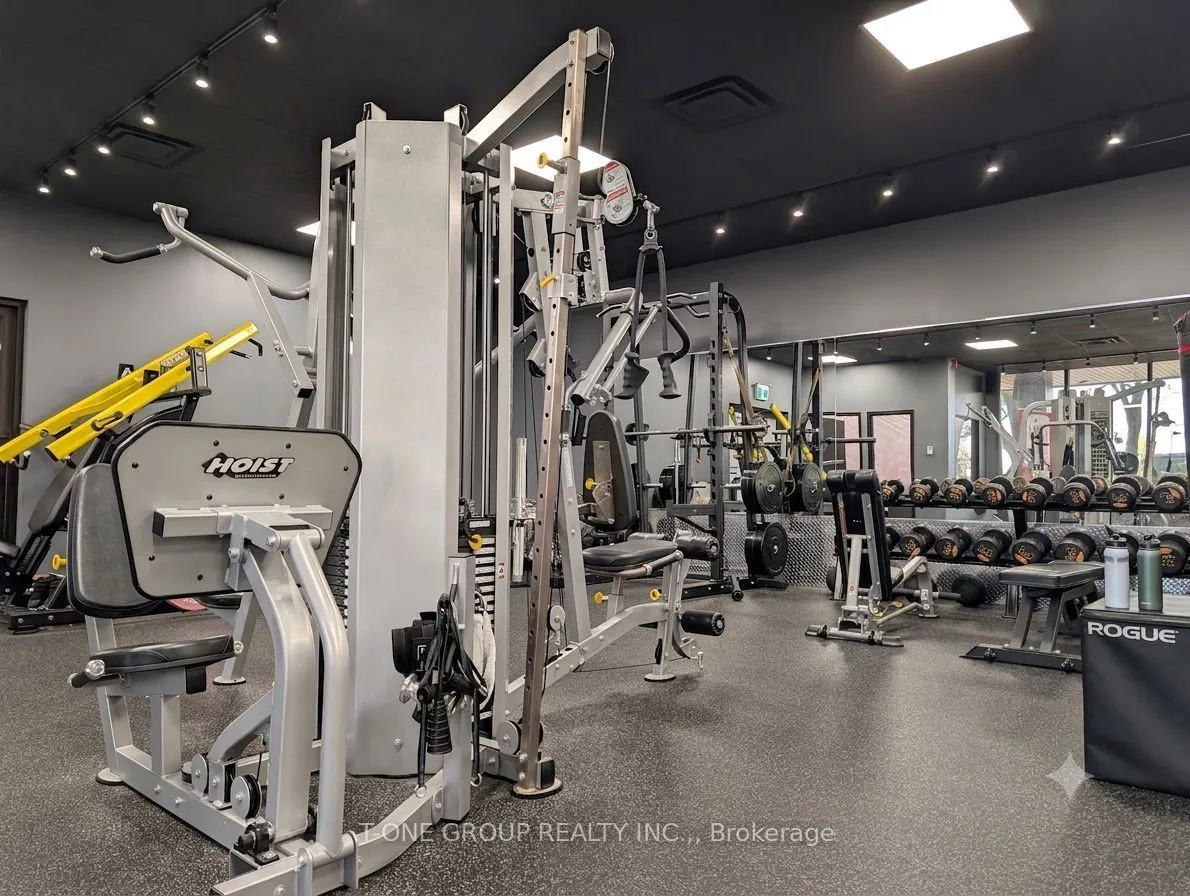 205 PLACER Court #1/F
