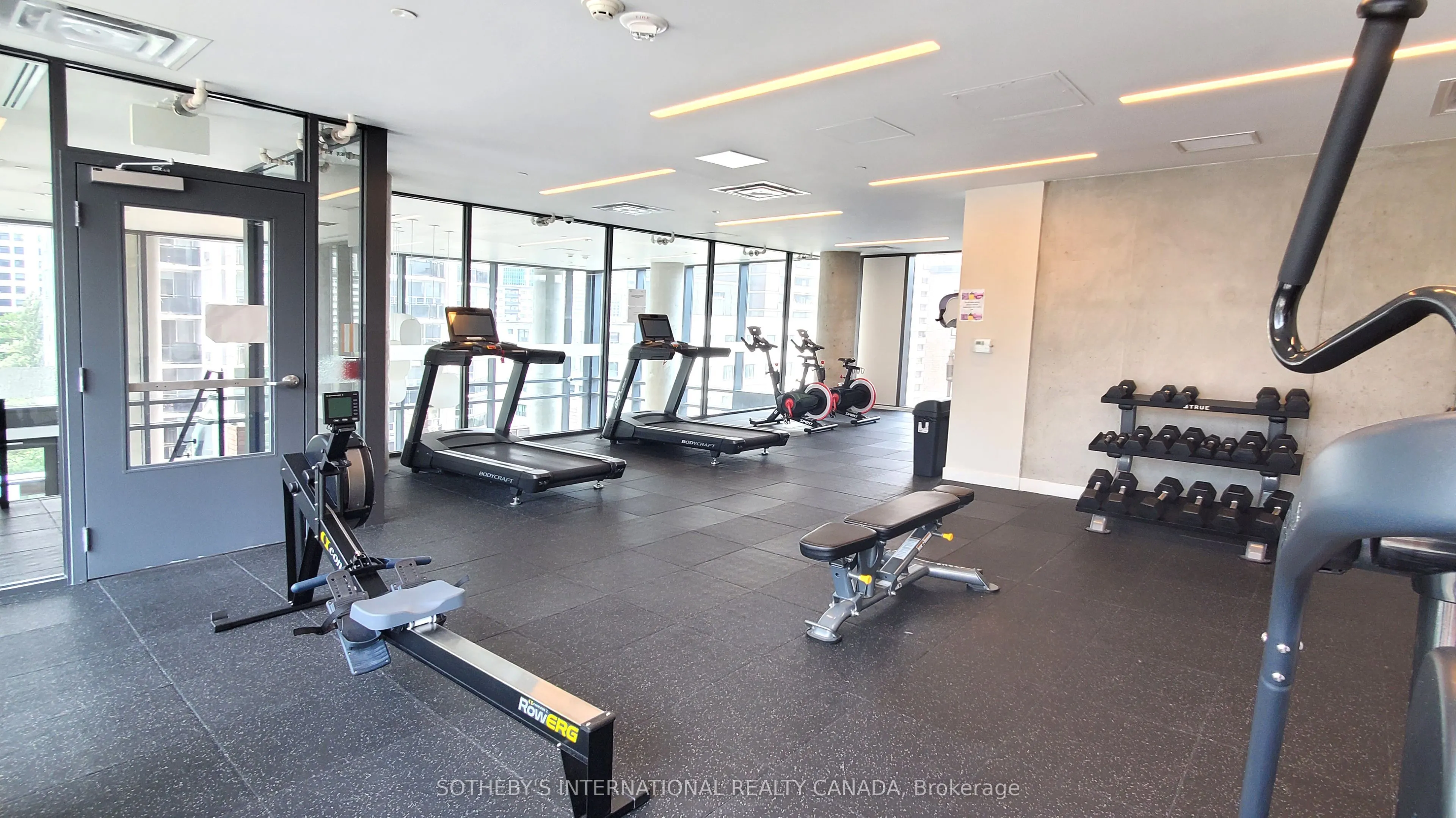 81 Wellesley Street E #305