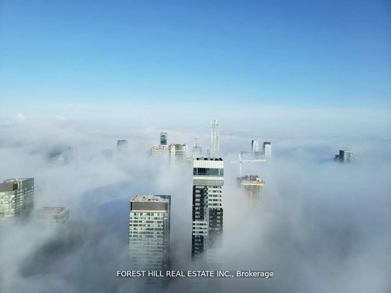 388 Yonge Street #7401
