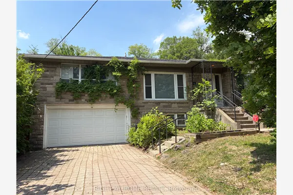 36 Forest Wood