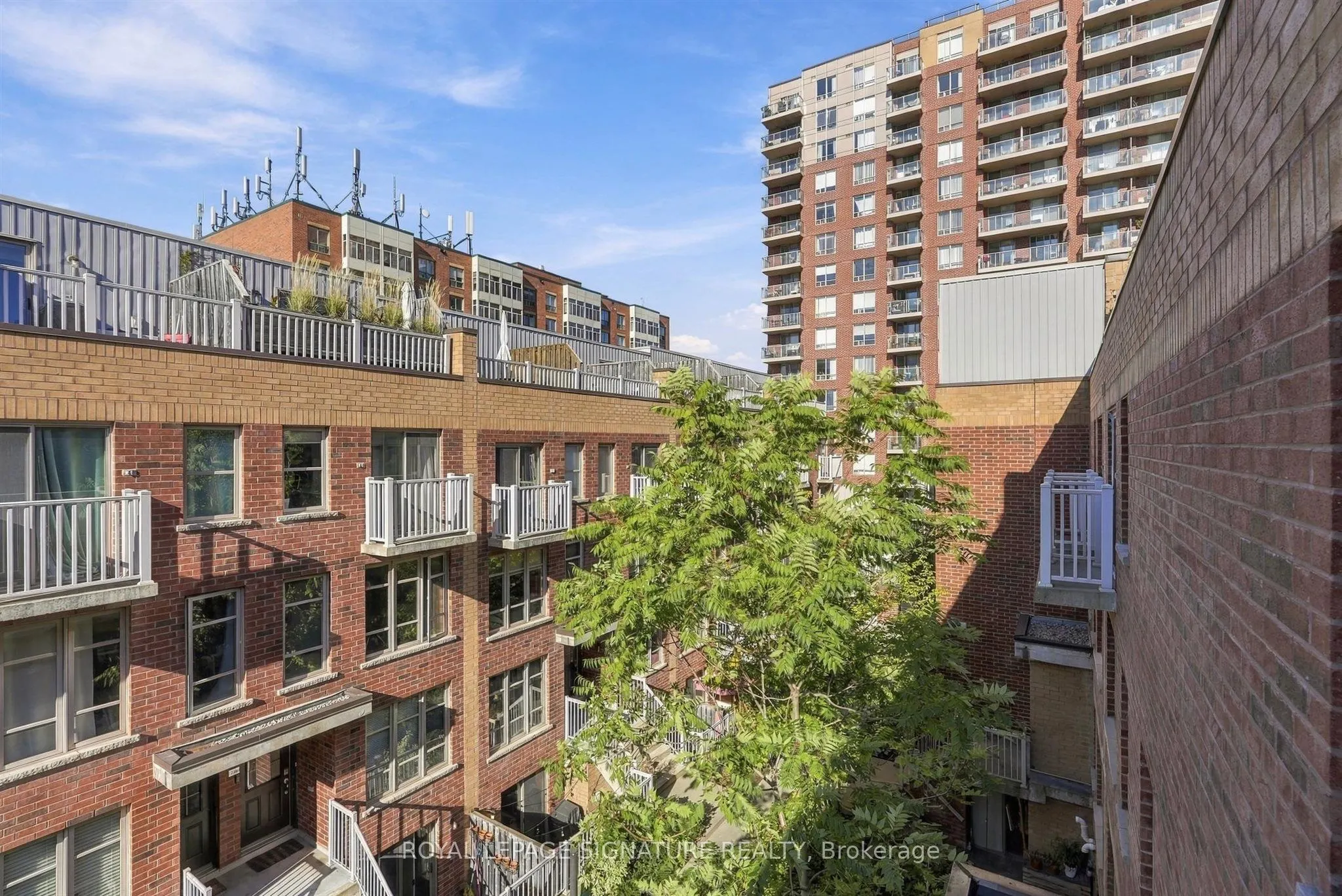 11 Ruttan Street #225