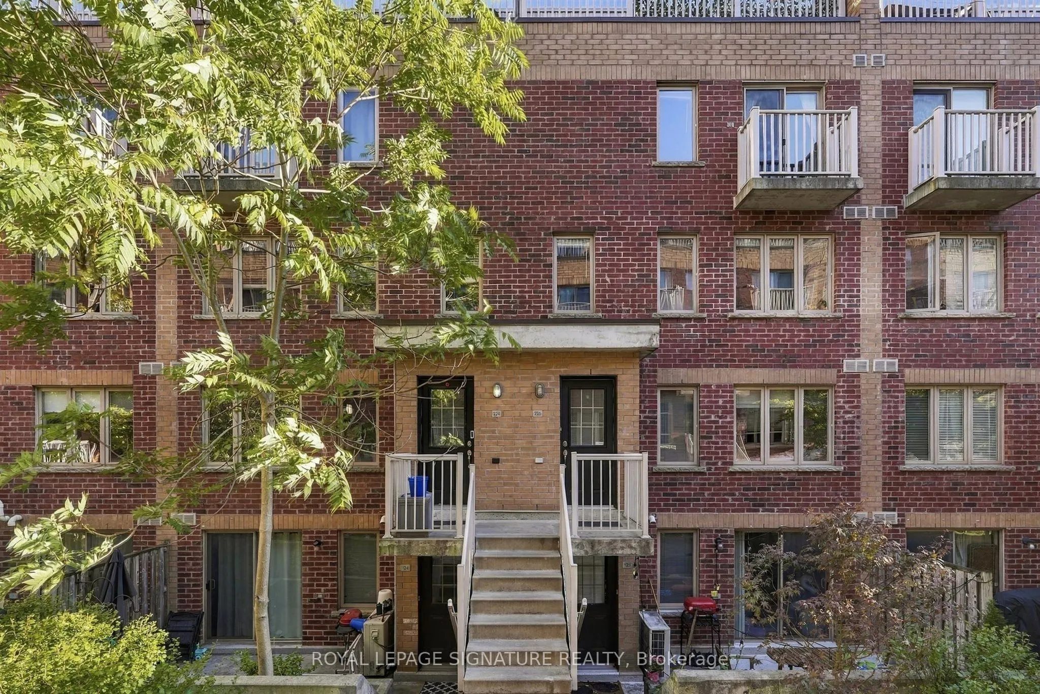 11 Ruttan Street #225