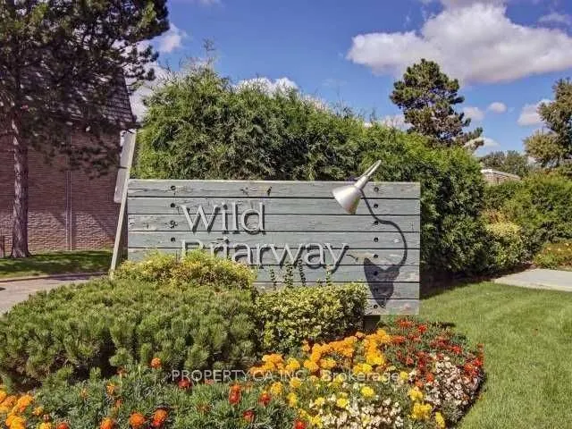50 Wild Briarway #43