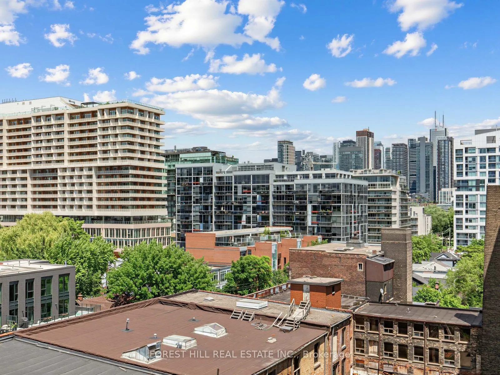 9 Tecumseth Street #807