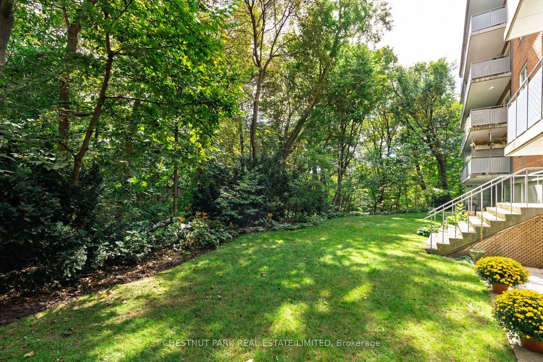 21 Dale Avenue #502