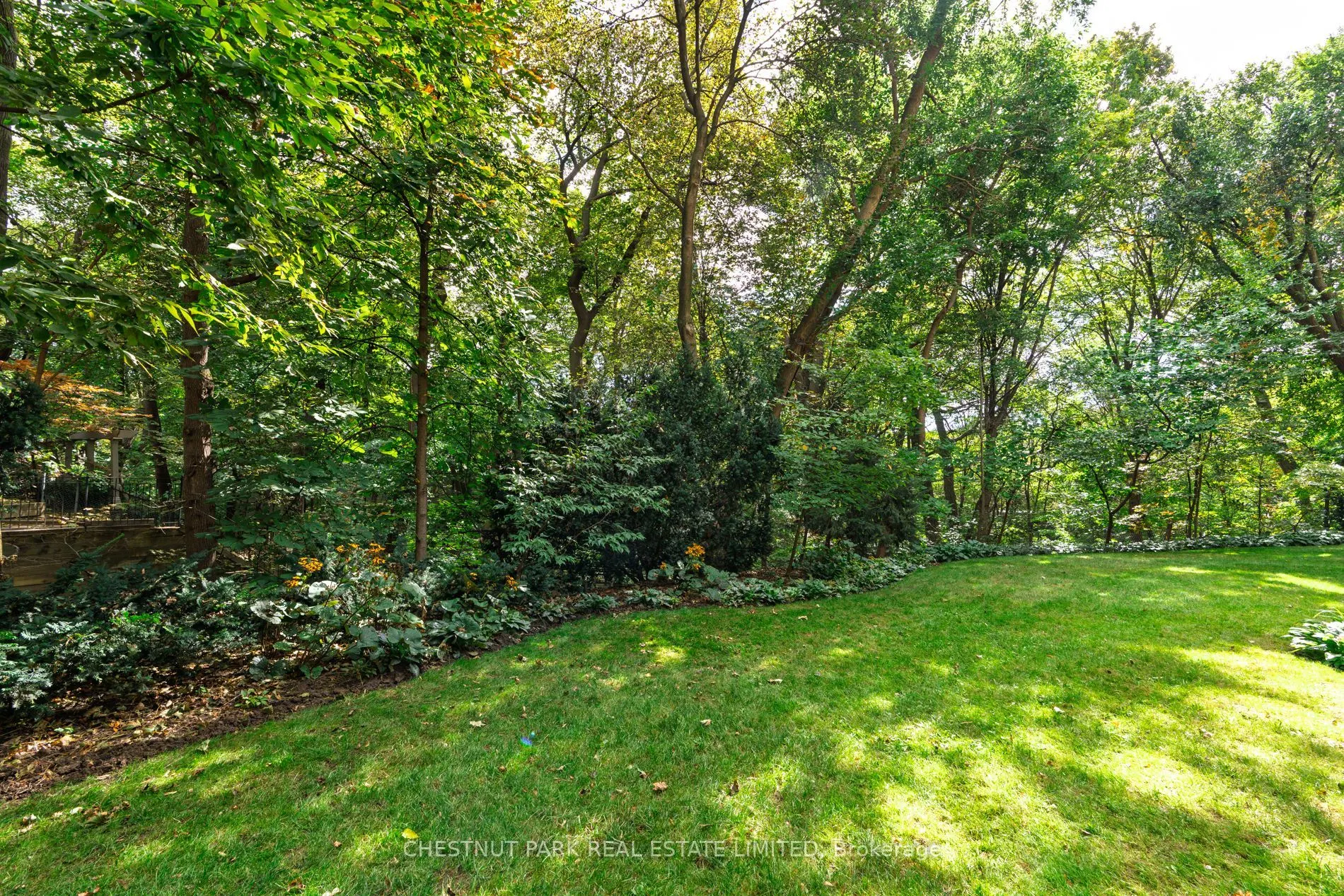 21 Dale Avenue #502
