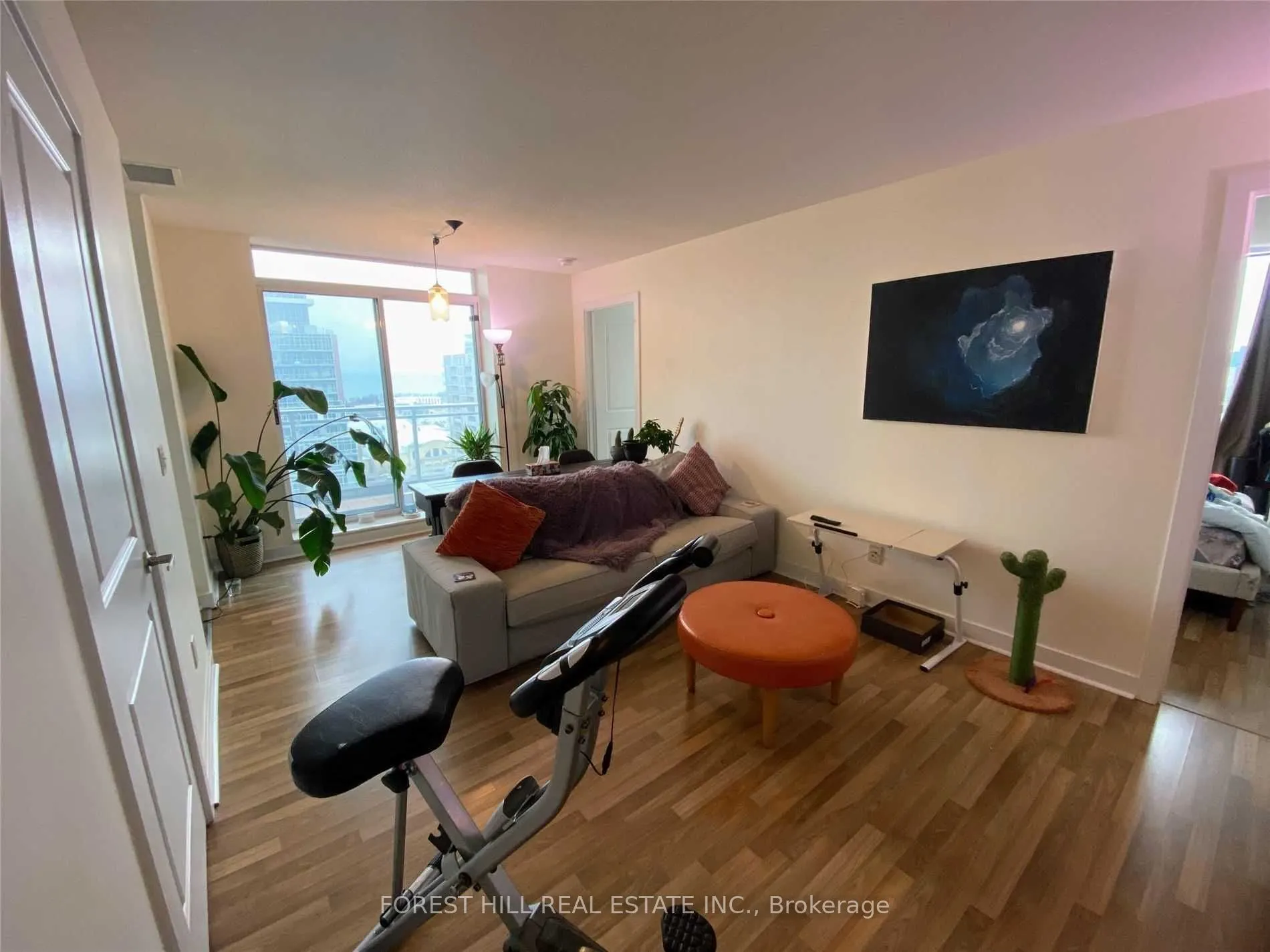 50 LYNN WILLIAMS Street #2104