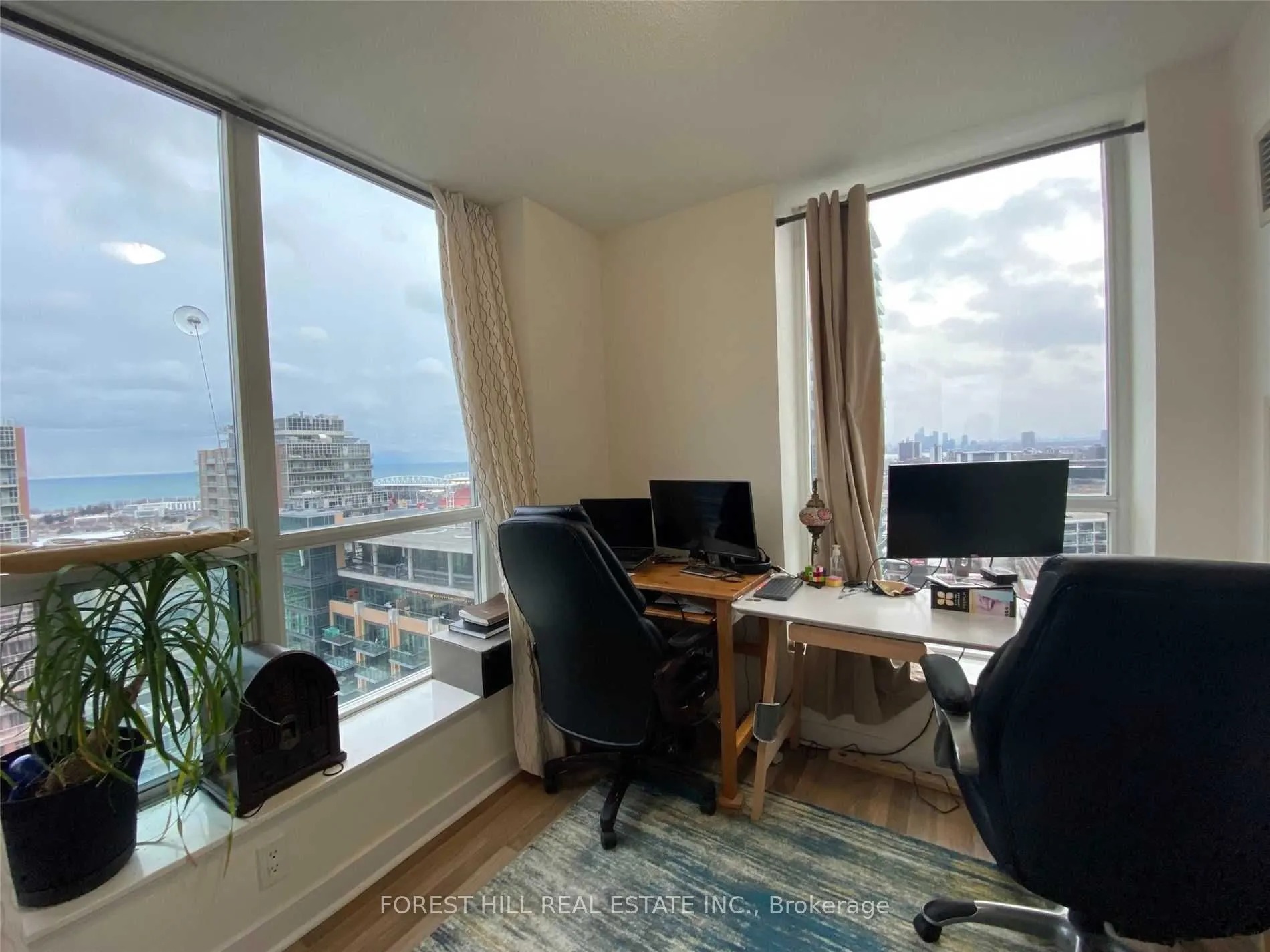 50 LYNN WILLIAMS Street #2104