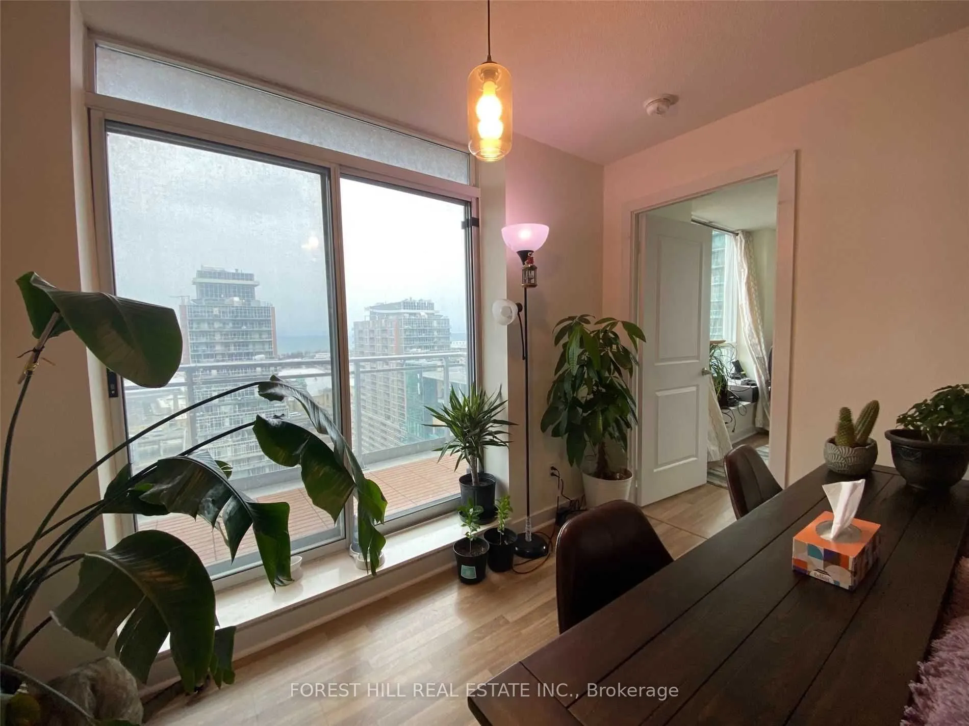 50 LYNN WILLIAMS Street #2104