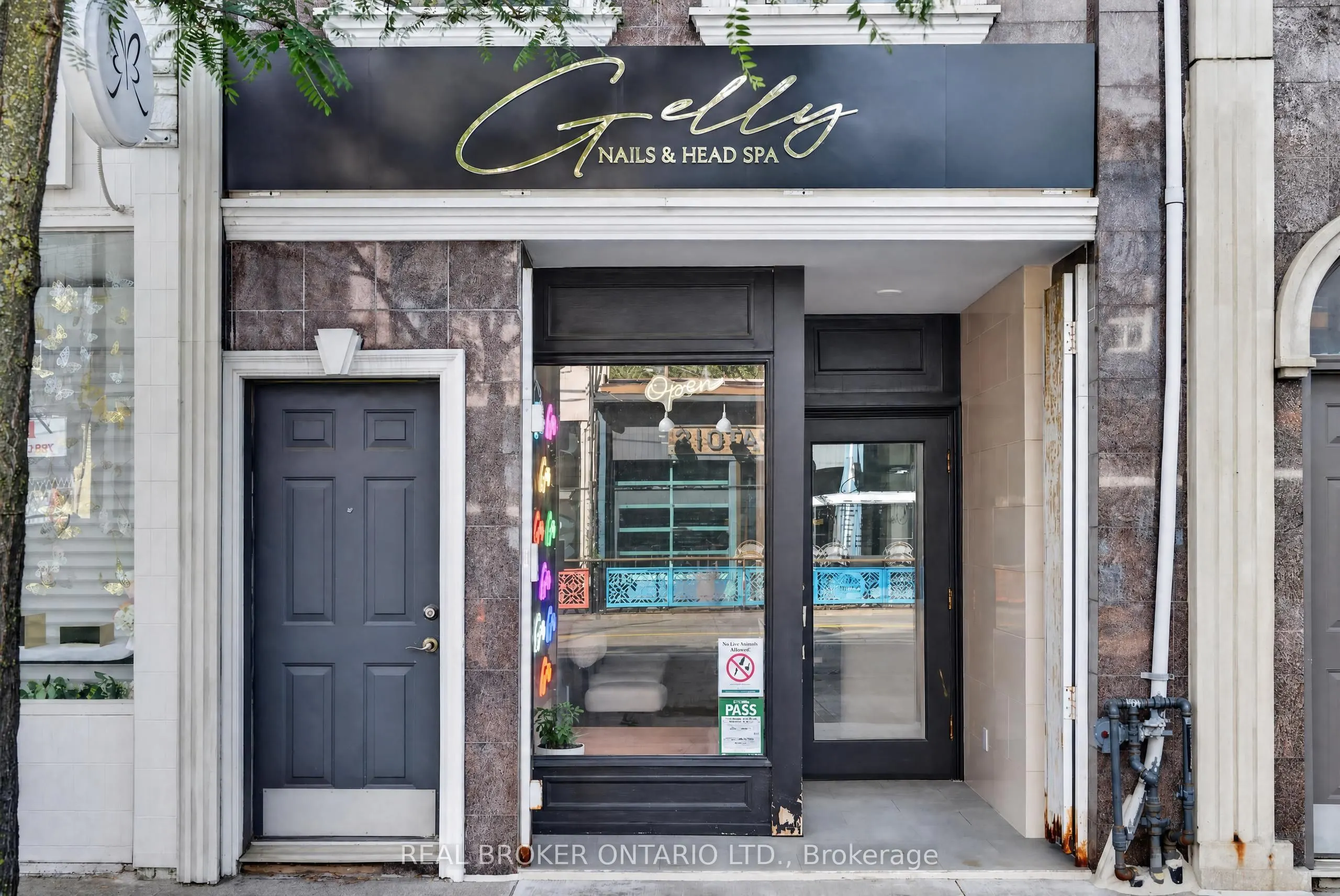 803 Dundas Street W