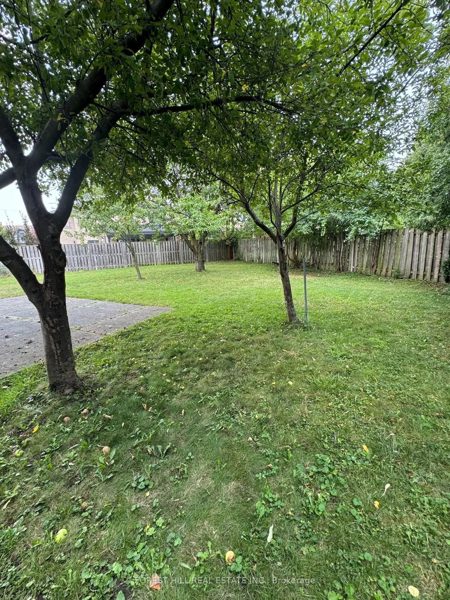 3 Tokay Court