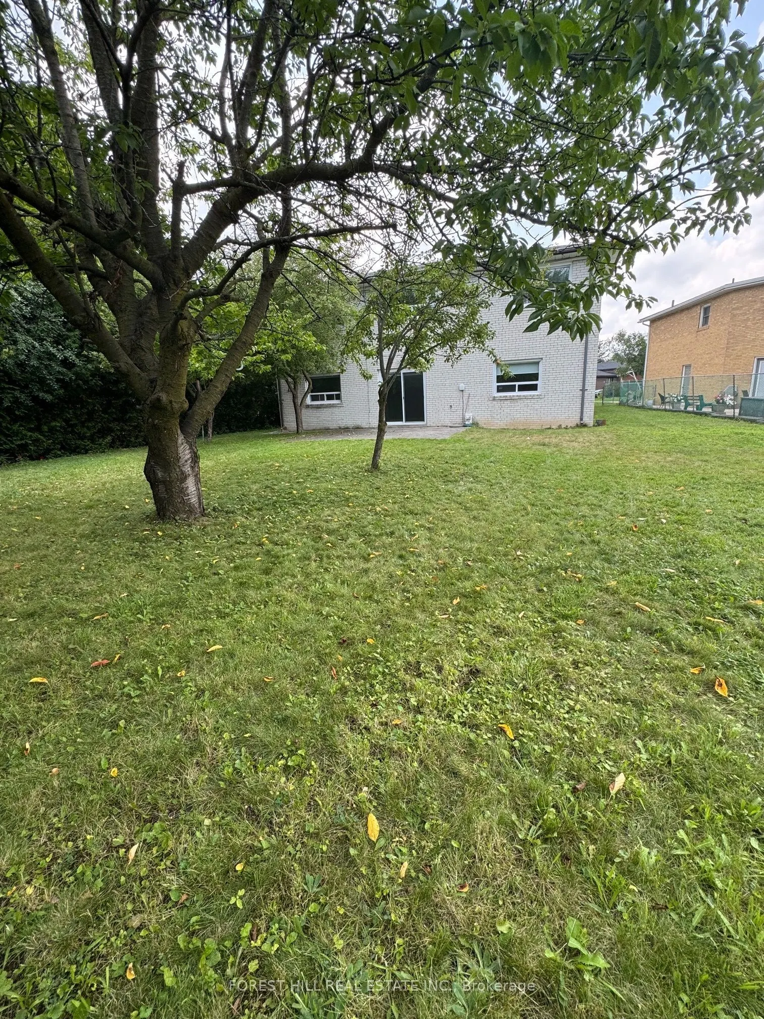 3 Tokay Court