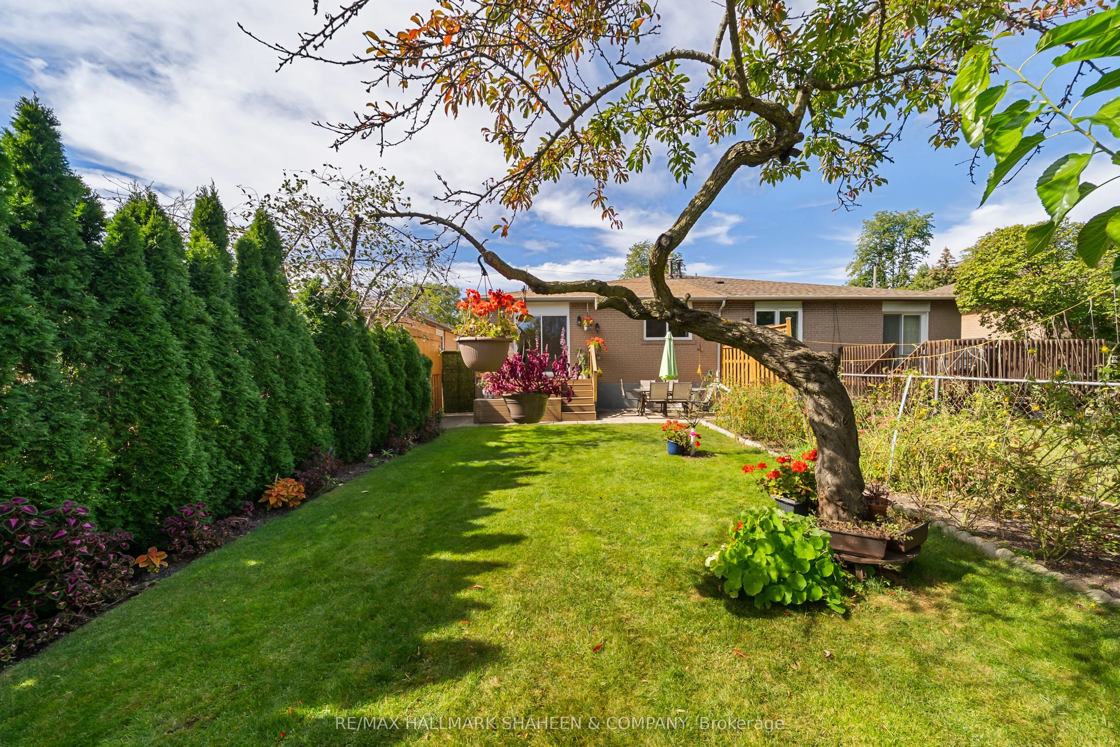 44 Elise Terrace