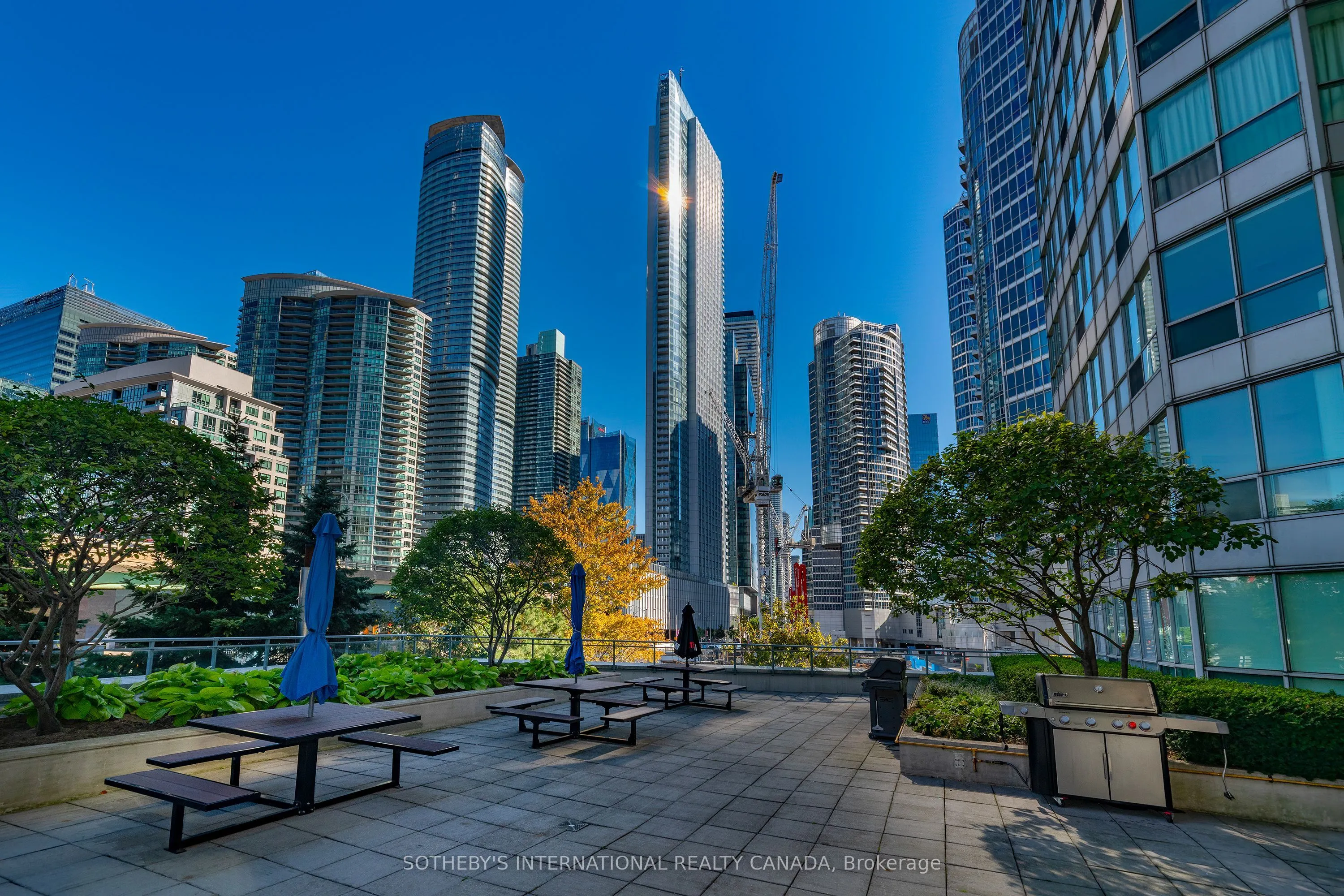 230 Queens Quay W #1815