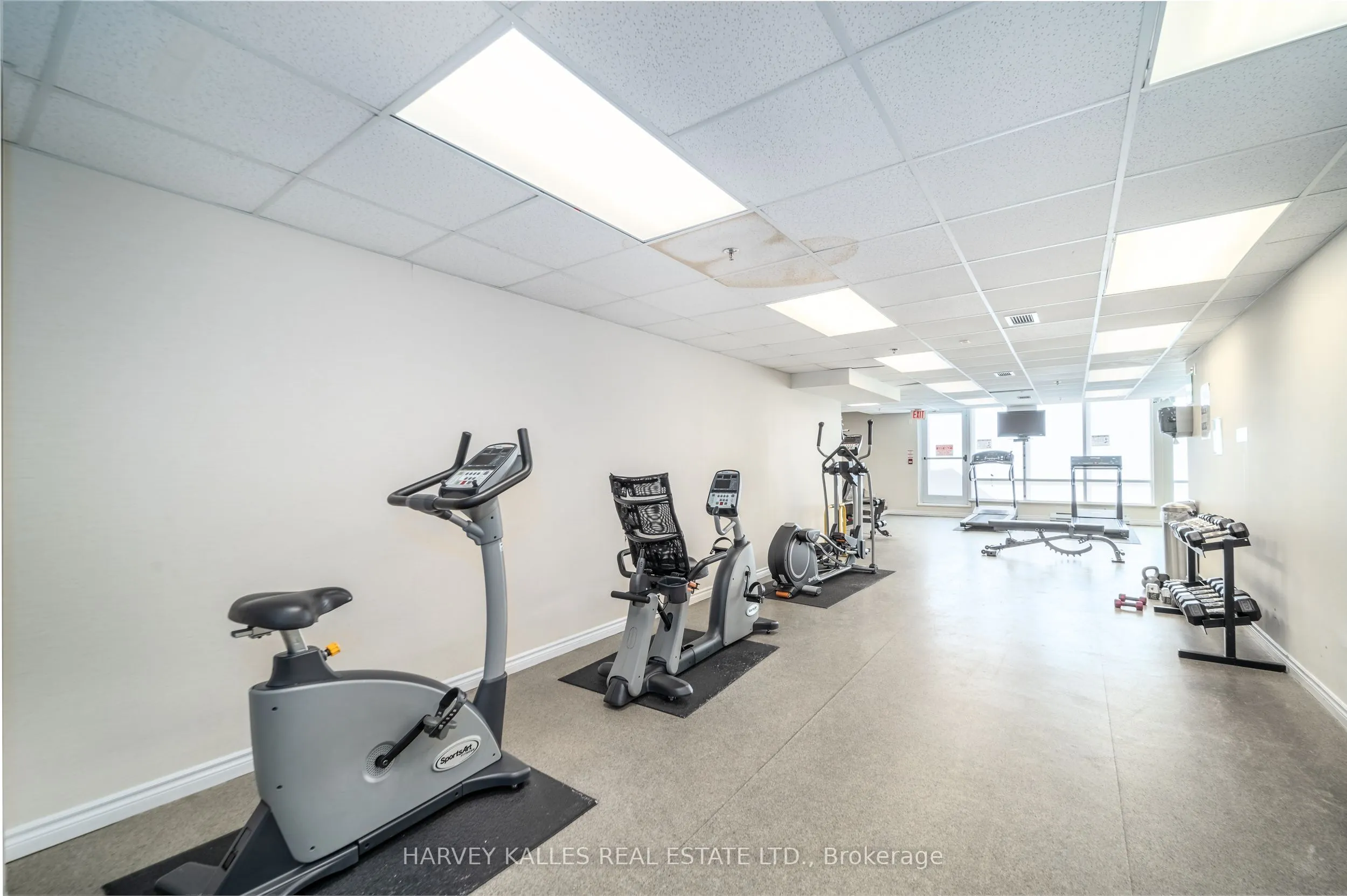 225 Wellesley Street E #313