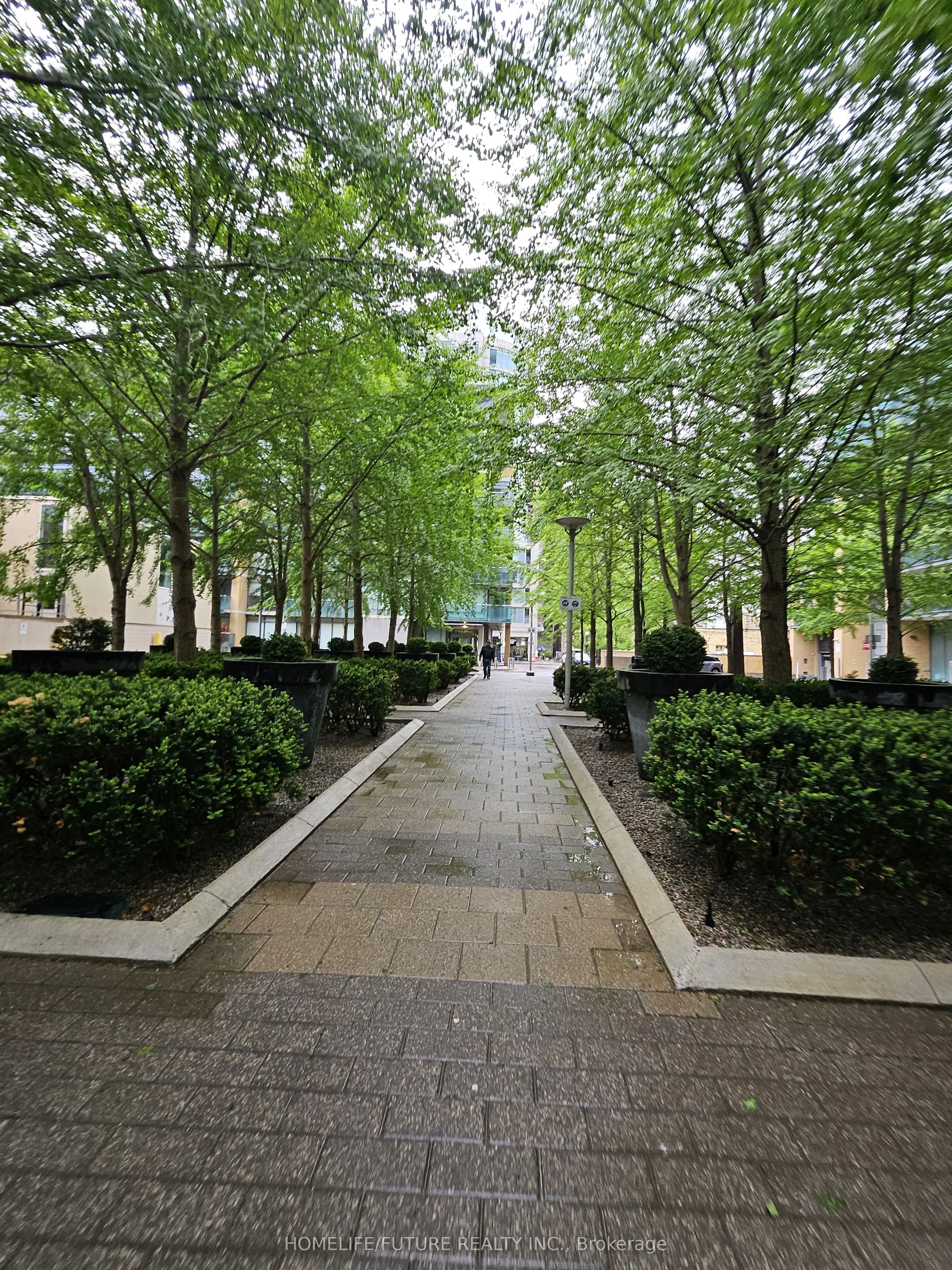 11 Yorkville Avenue #6105