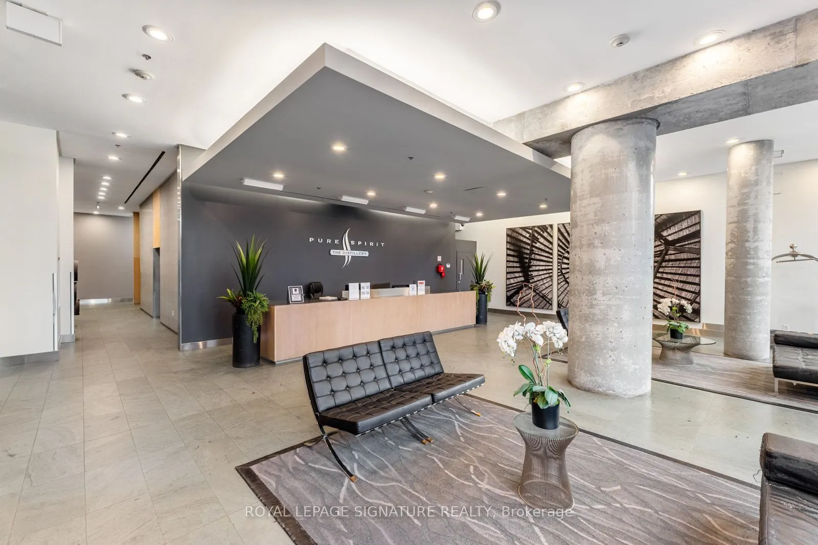 33 Mill Street #210