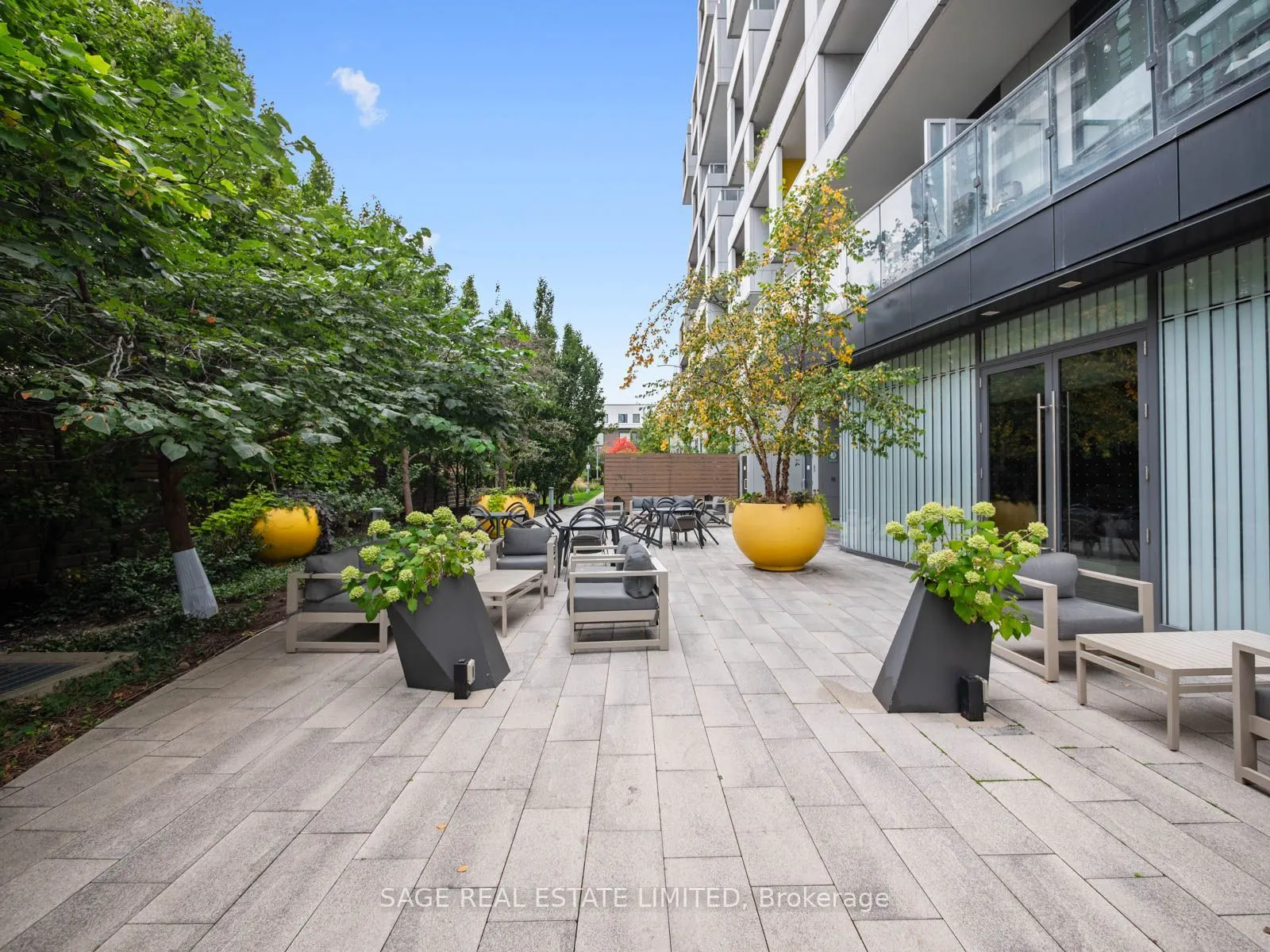 38 Cameron Street #524