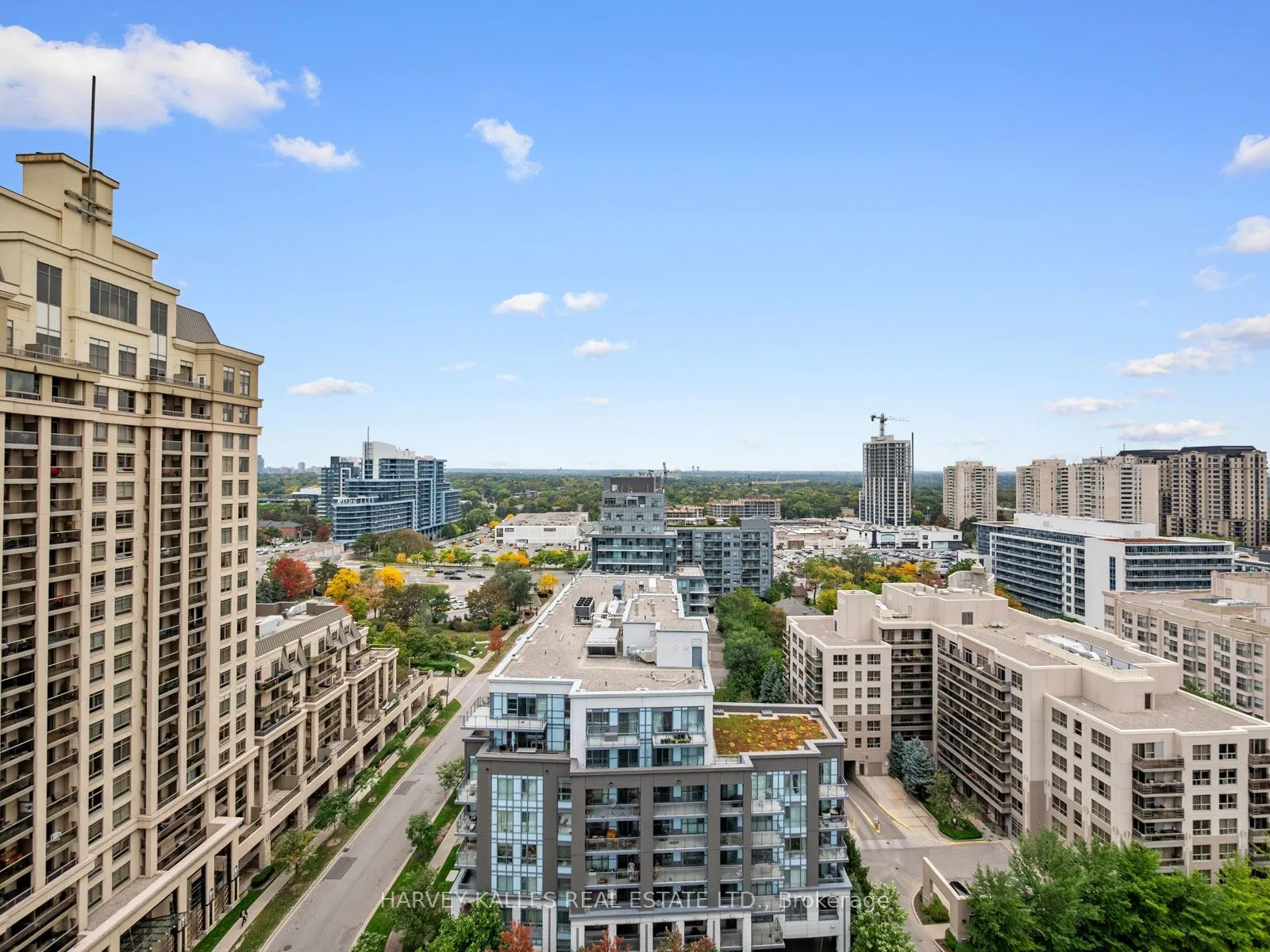 17 Barberry Place #1814