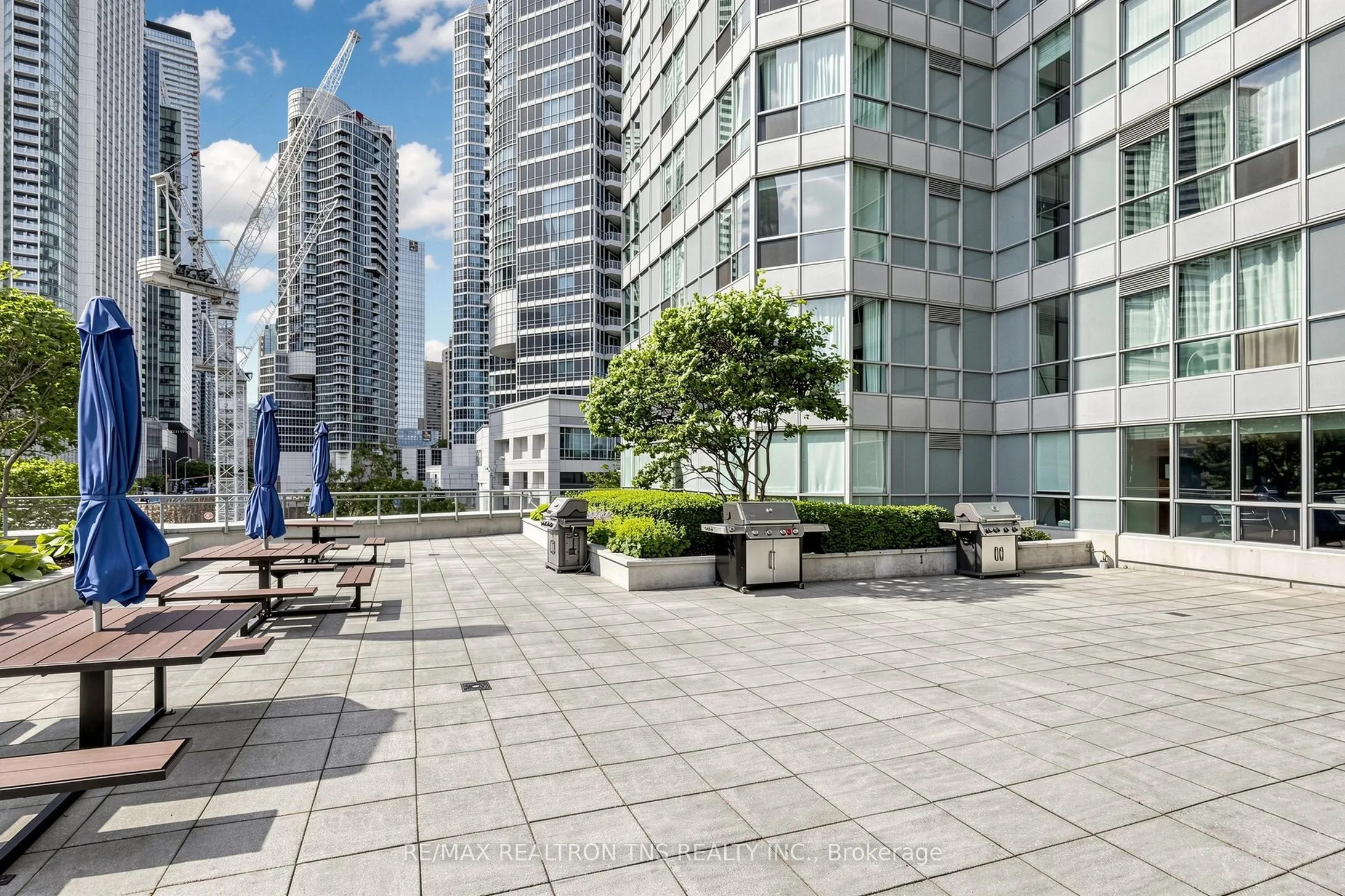 228 Queens Quay W #1501