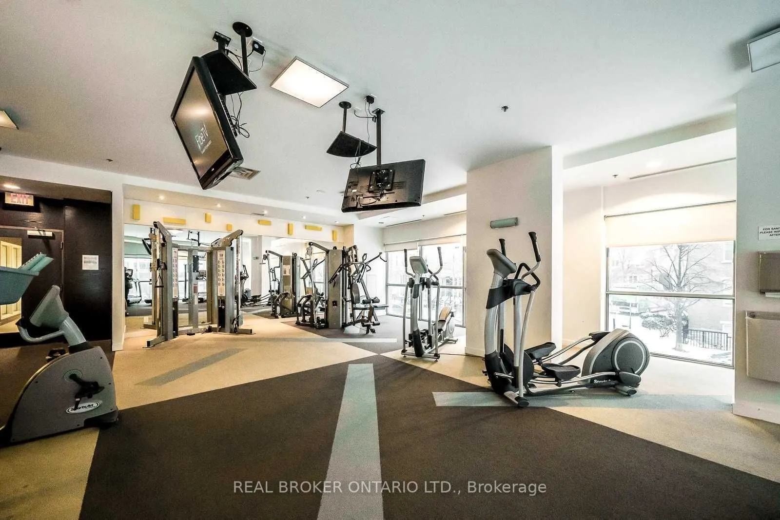 50 Lynn Williams Street #407