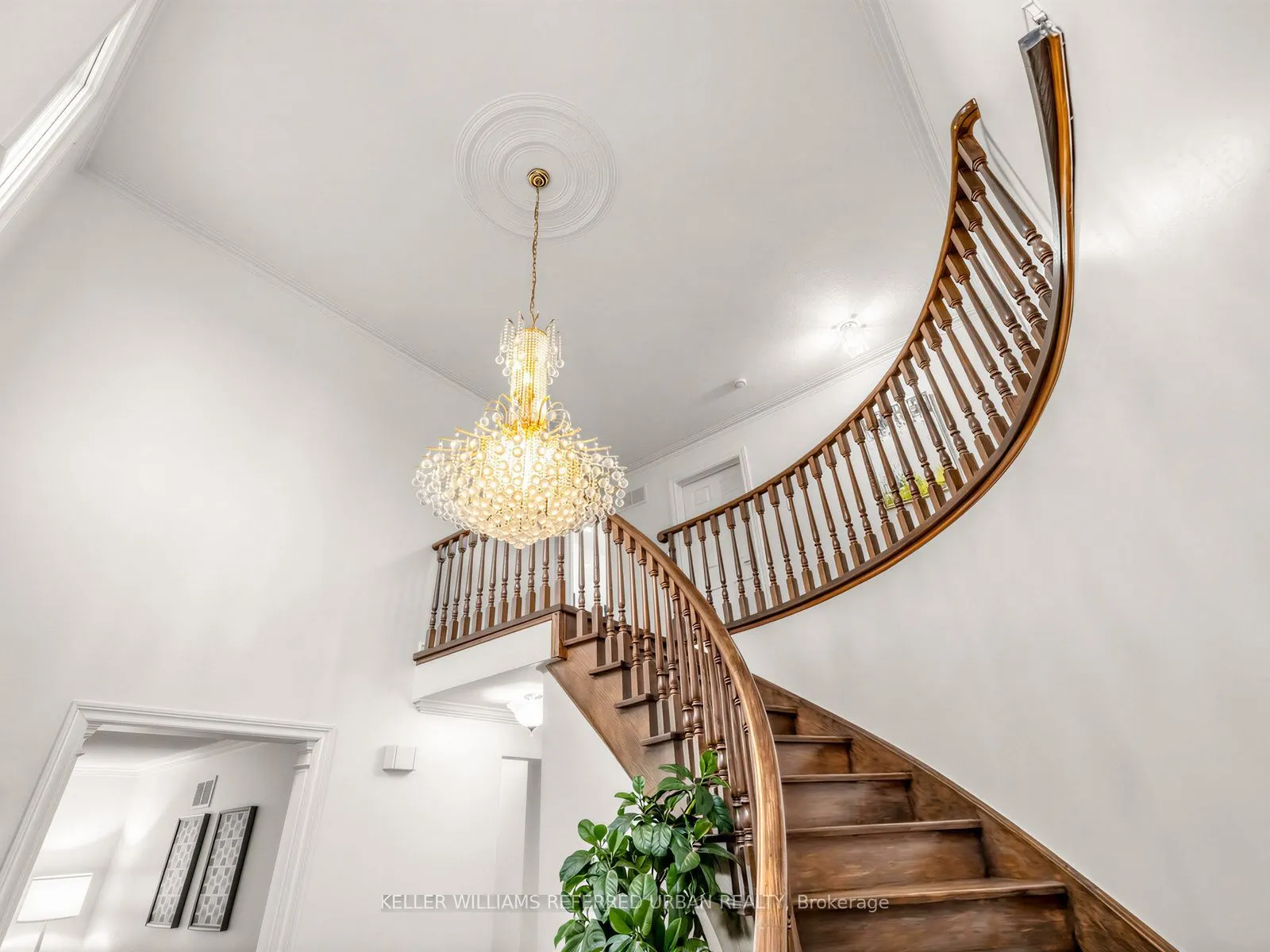 9 Tigerlily Court