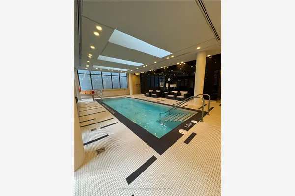 770 Bay Street #2411