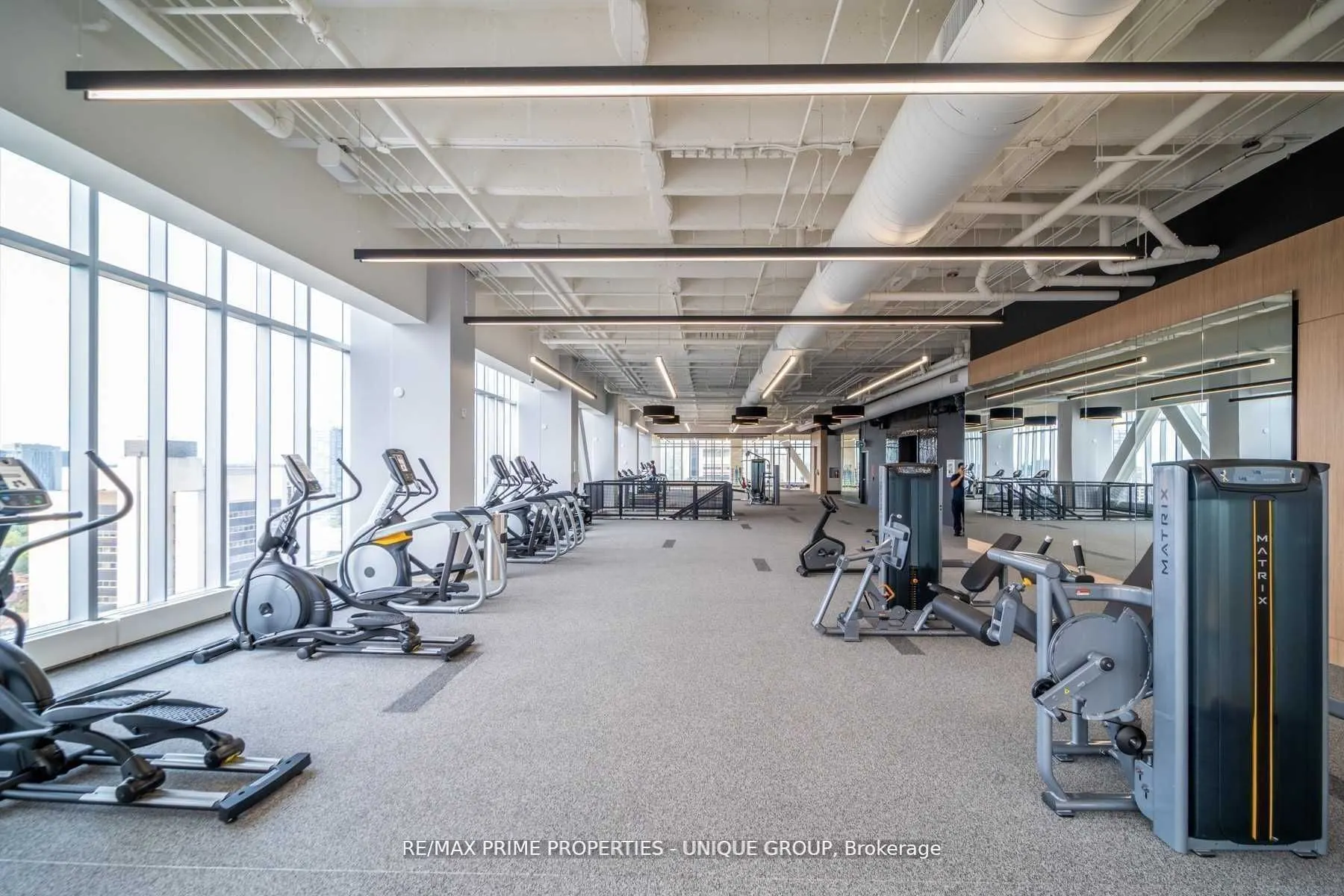 488 University Avenue #5002