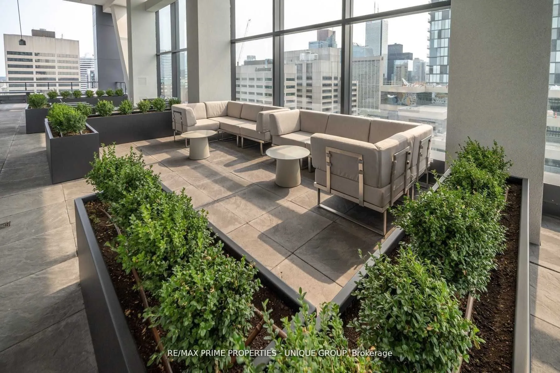 488 University Avenue #5002