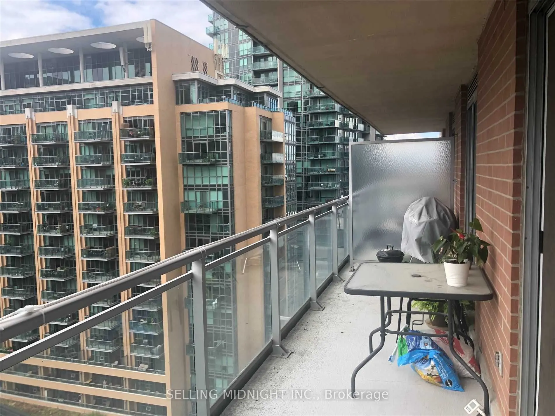 50 Lynn Wiilams Street #1103