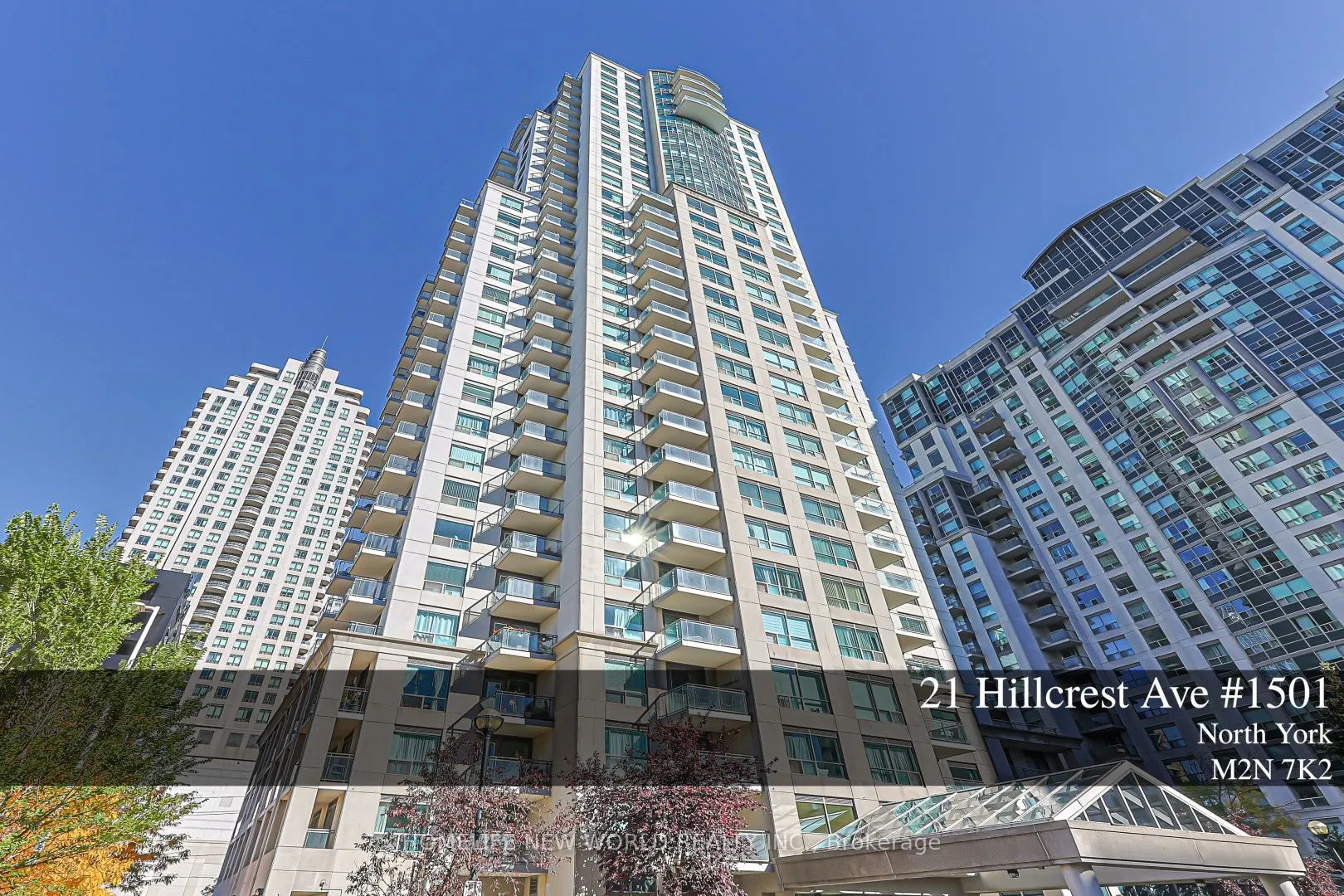 21 Hillcrest Avenue #1501