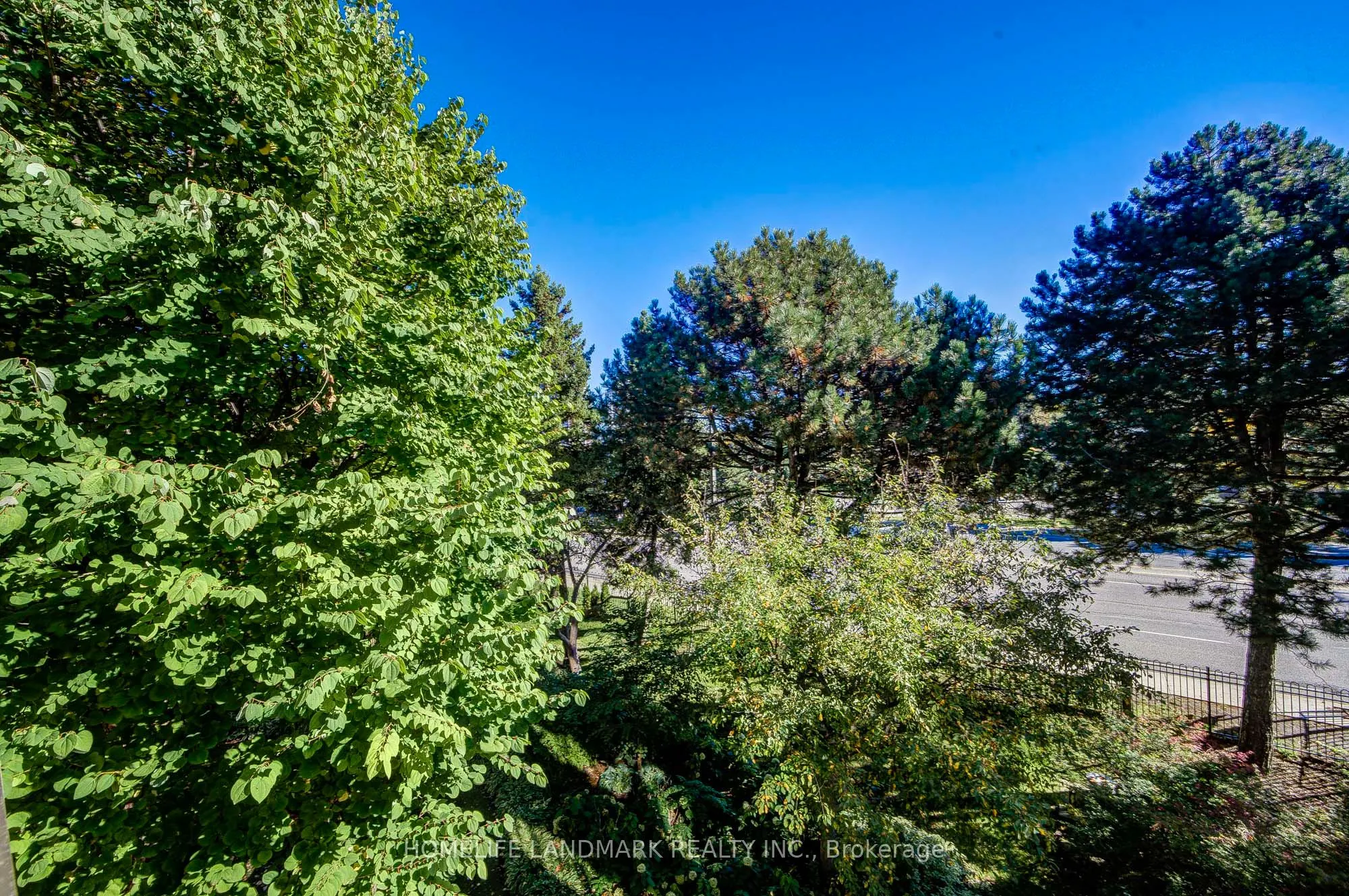 96 Fifeshire Road #301