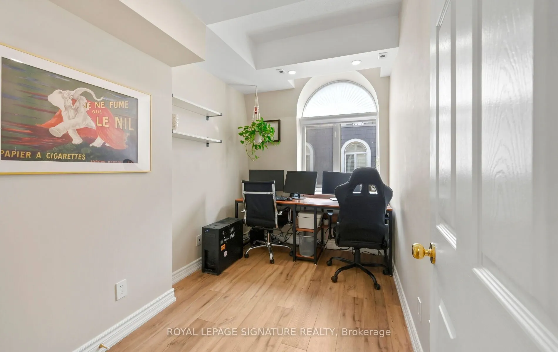 36 Stadium Road #555