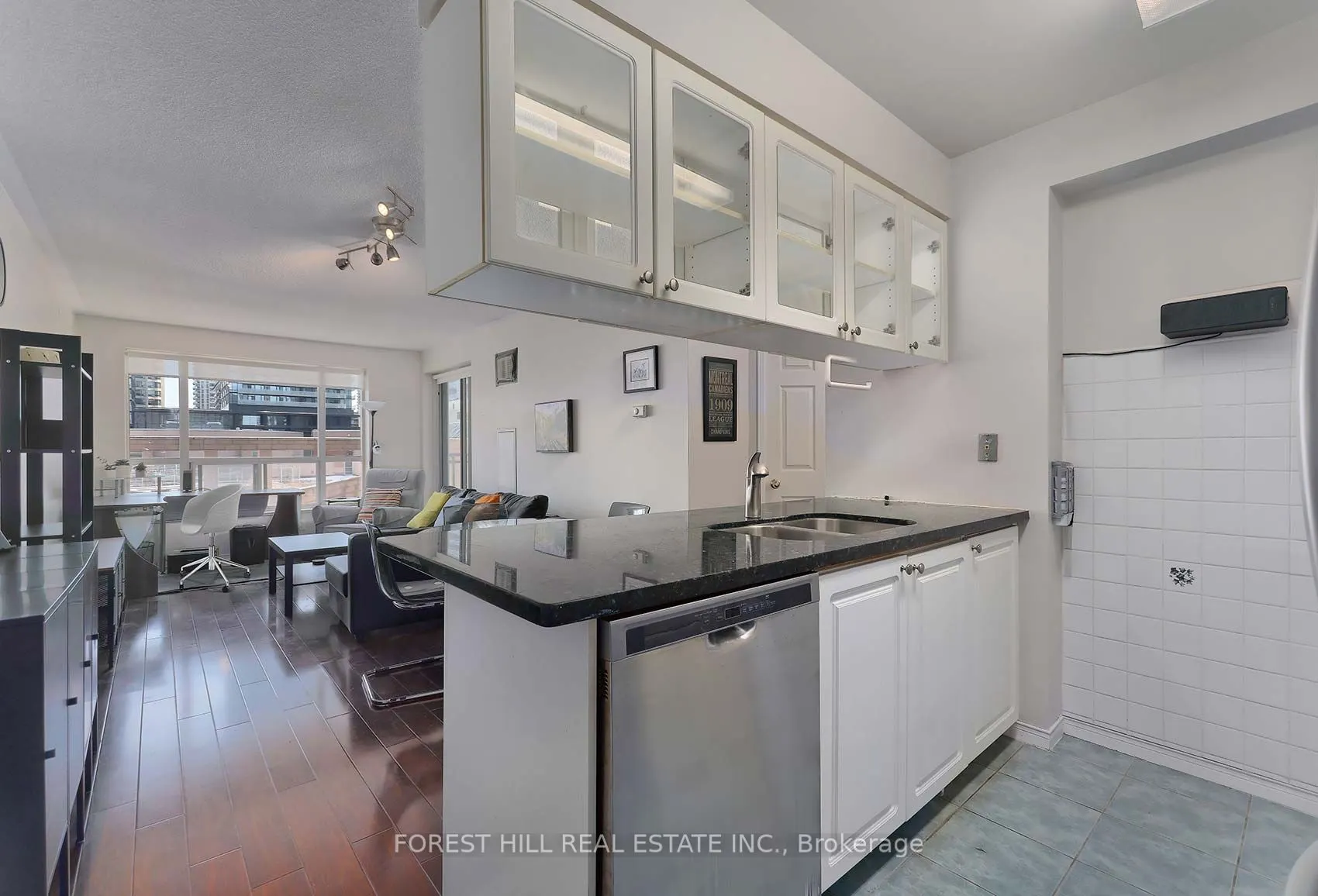 887 Bay Street #613