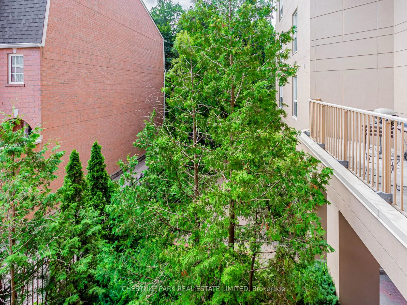 139 Merton Street #246