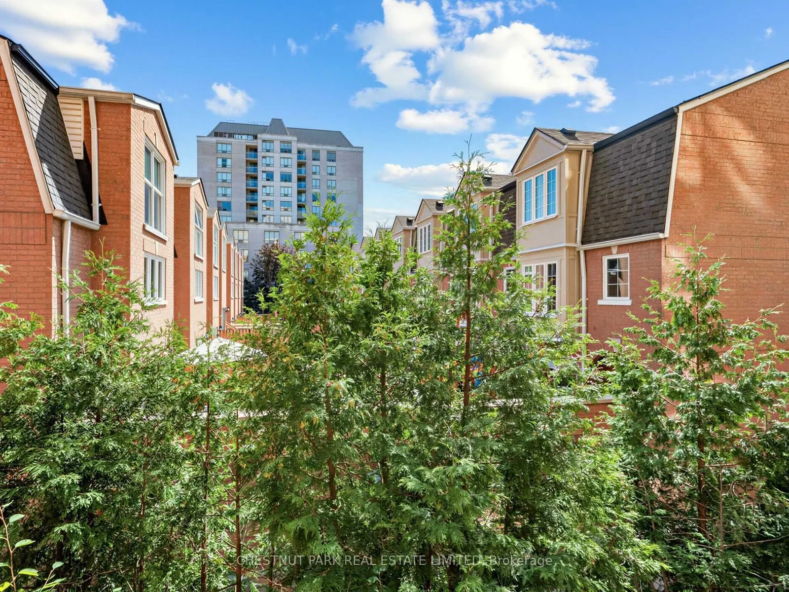 139 Merton Street #246
