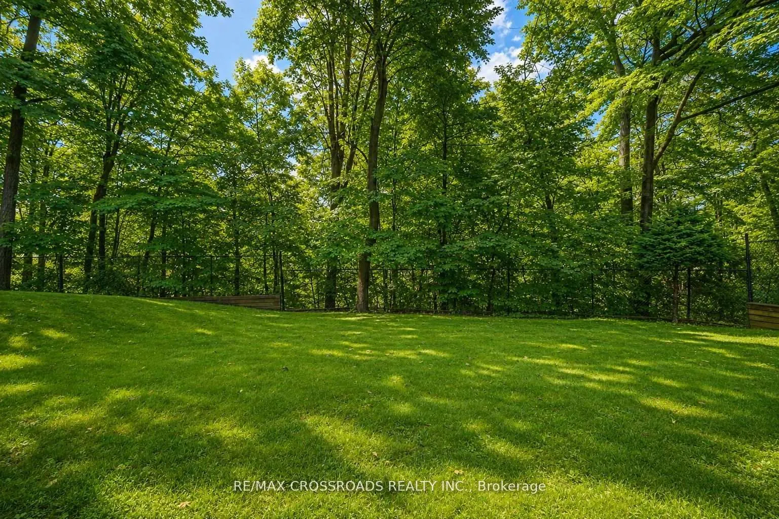 55 Forest Grove Drive